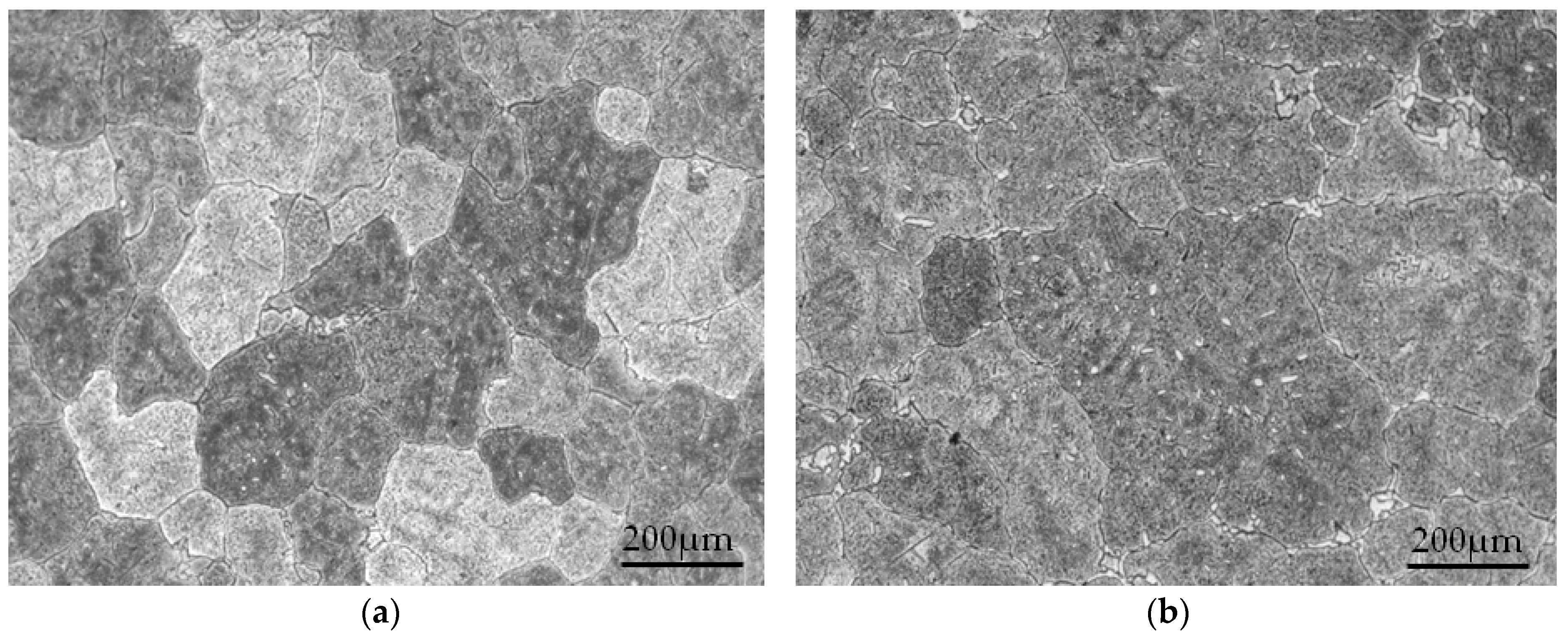 Metals 10 00197 g004a