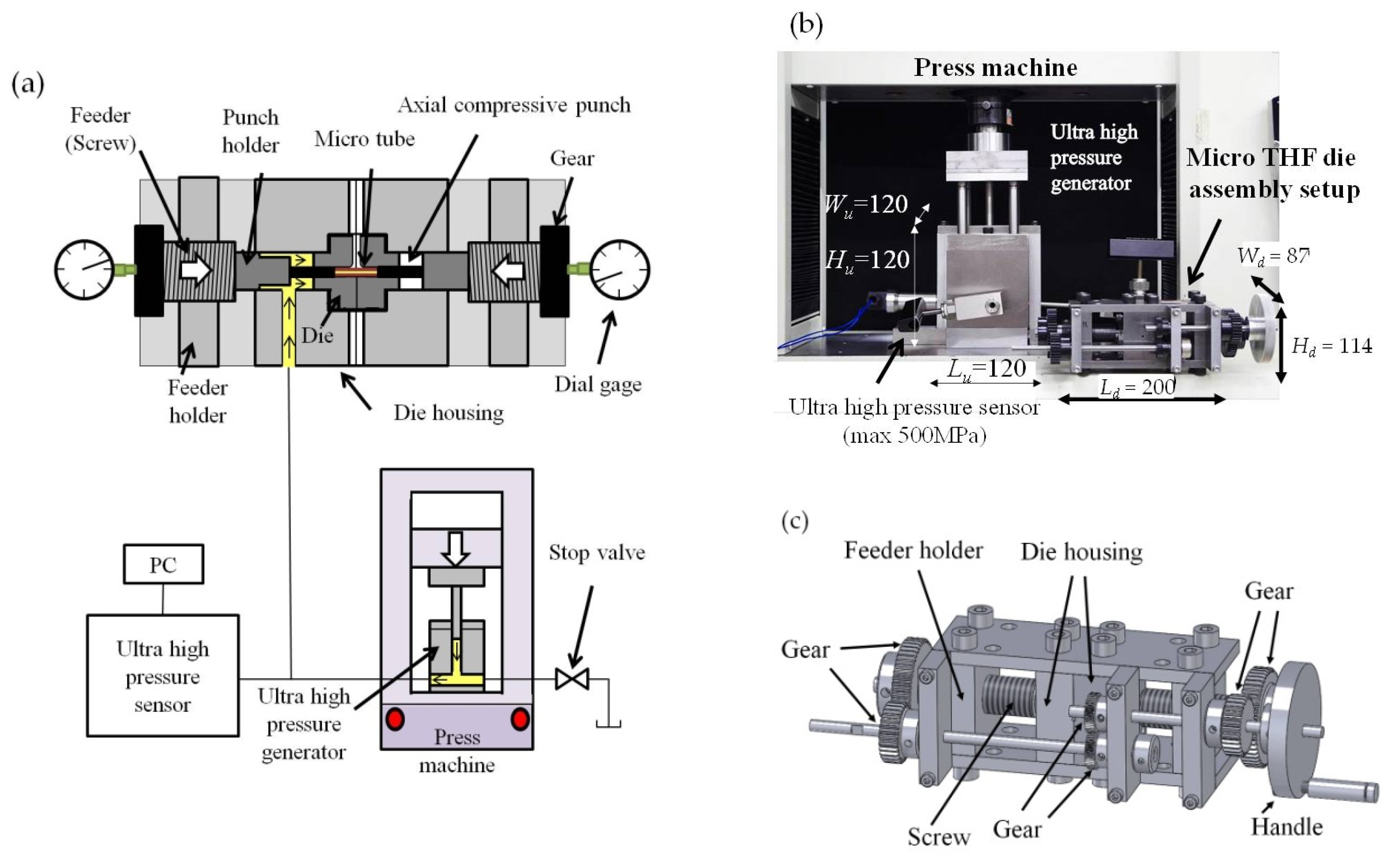 Metals 10 00199 g001