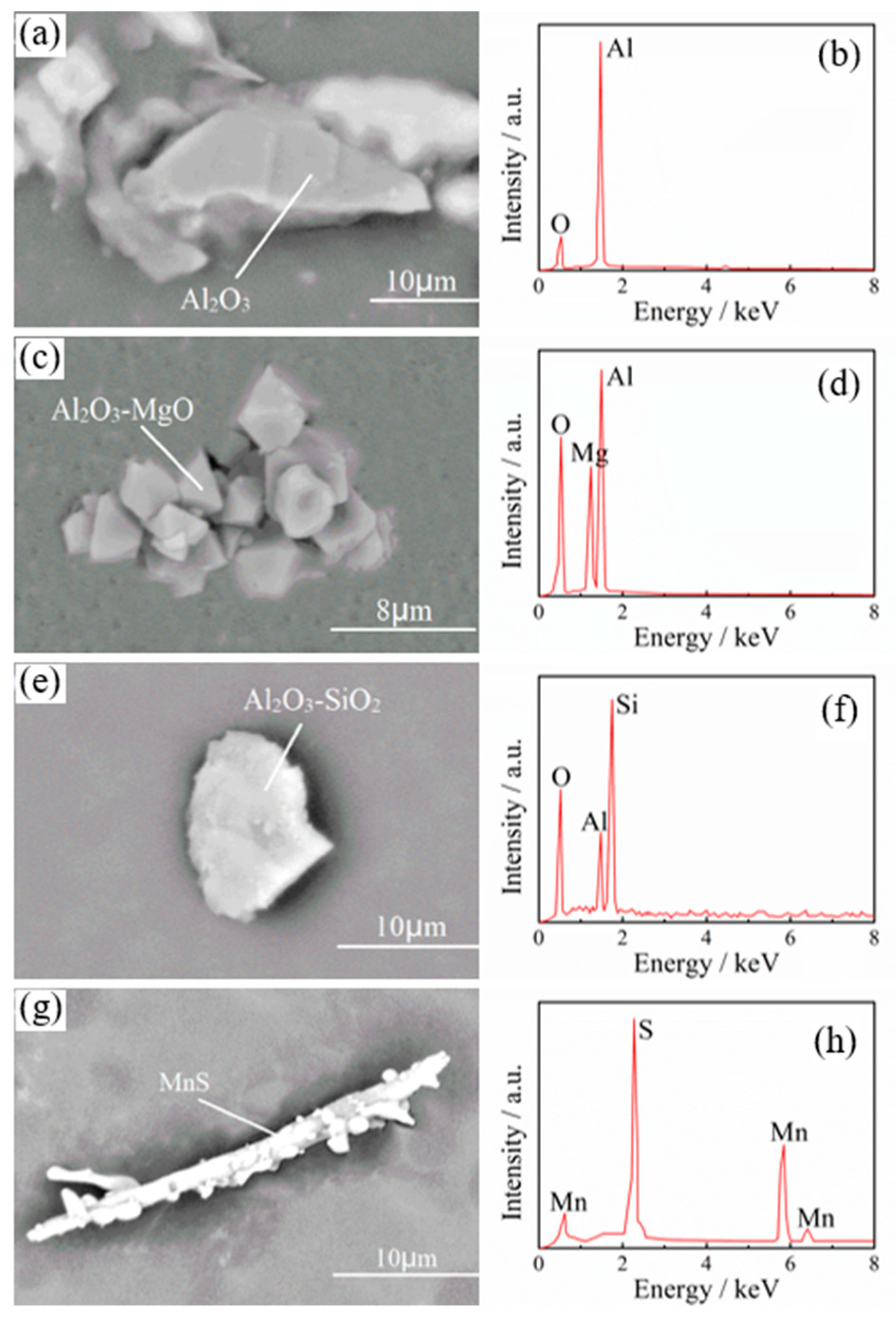 Metals 10 00201 g002