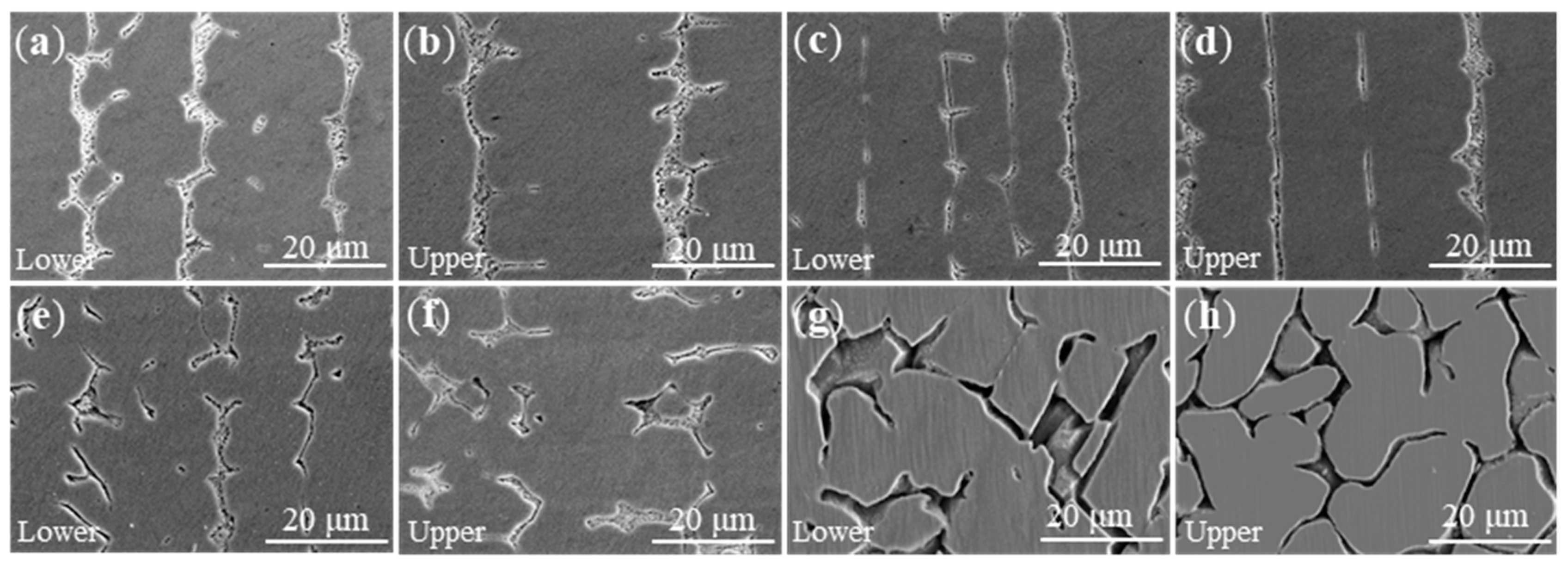 Metals 10 00215 g005