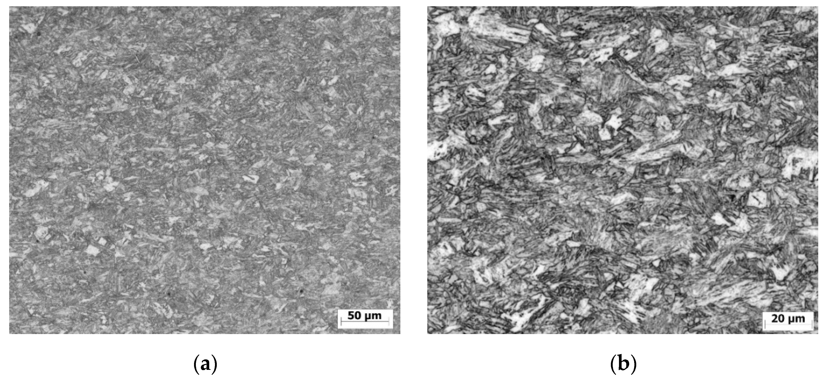 Metals 10 00229 g001 Metals 10 00229 g001