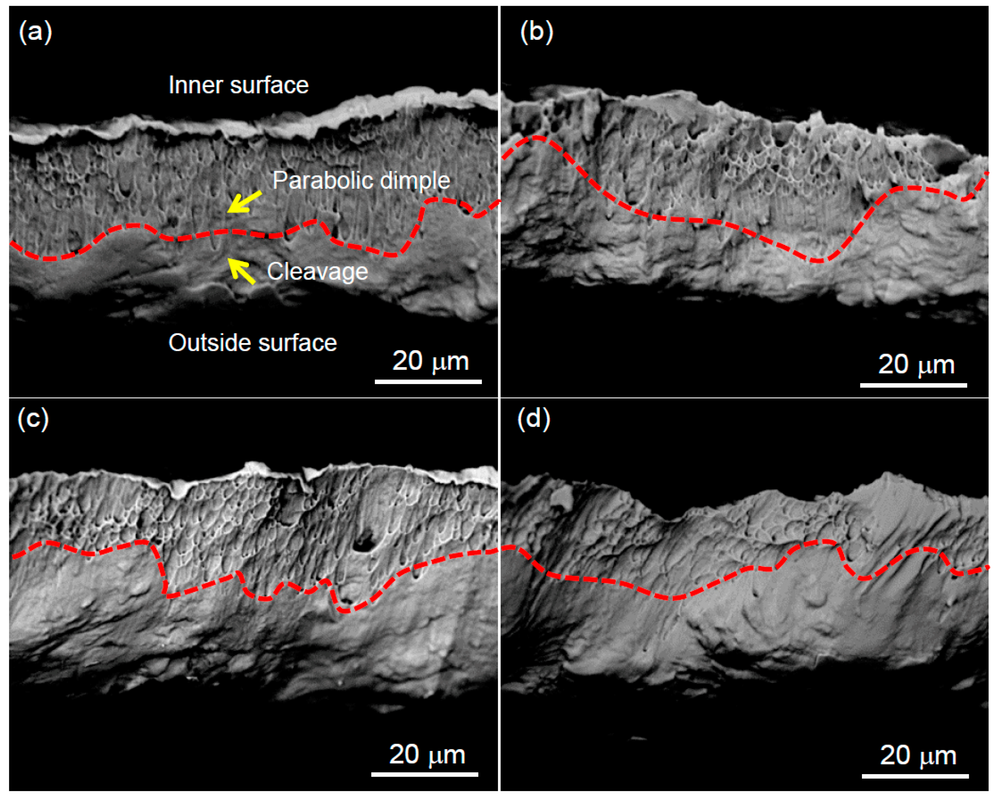 Metals 10 00232 g004 550