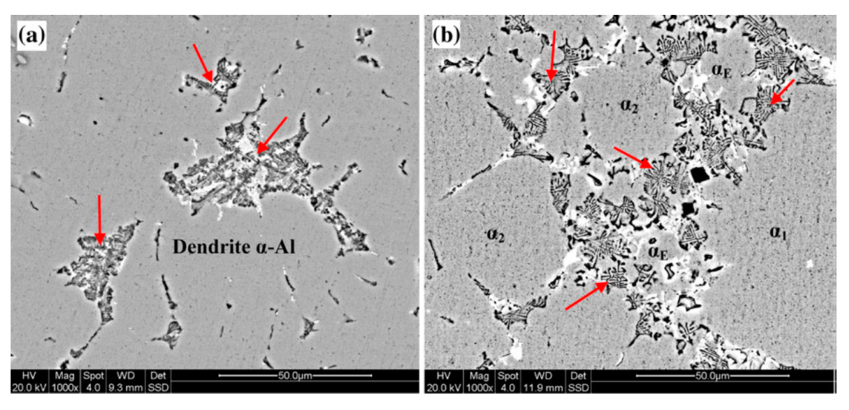 Metals 10 00238 g006