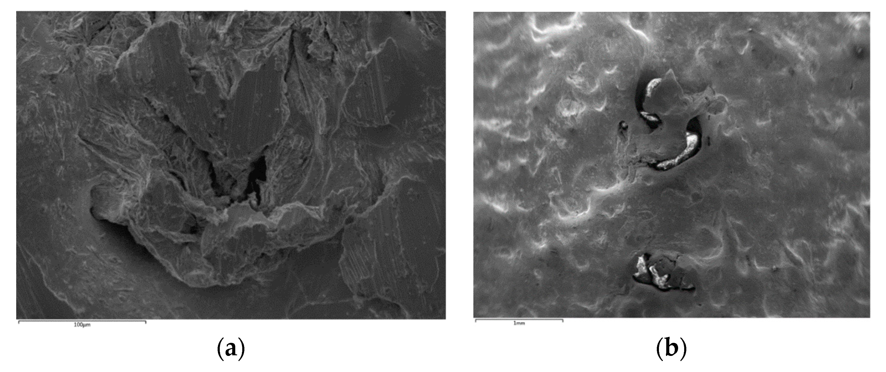 Metals 10 00252 g004