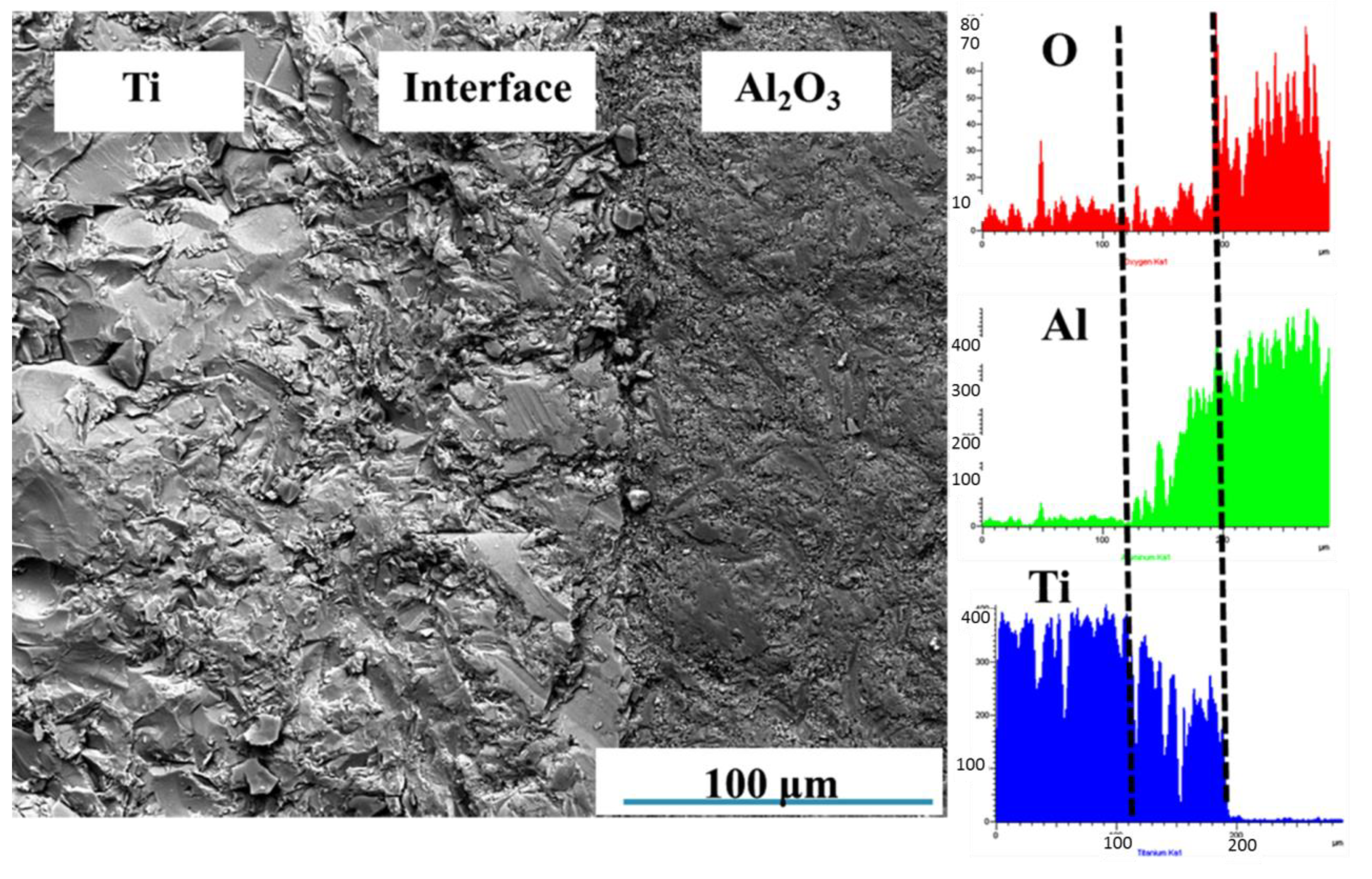 Metals 10 00259 g002