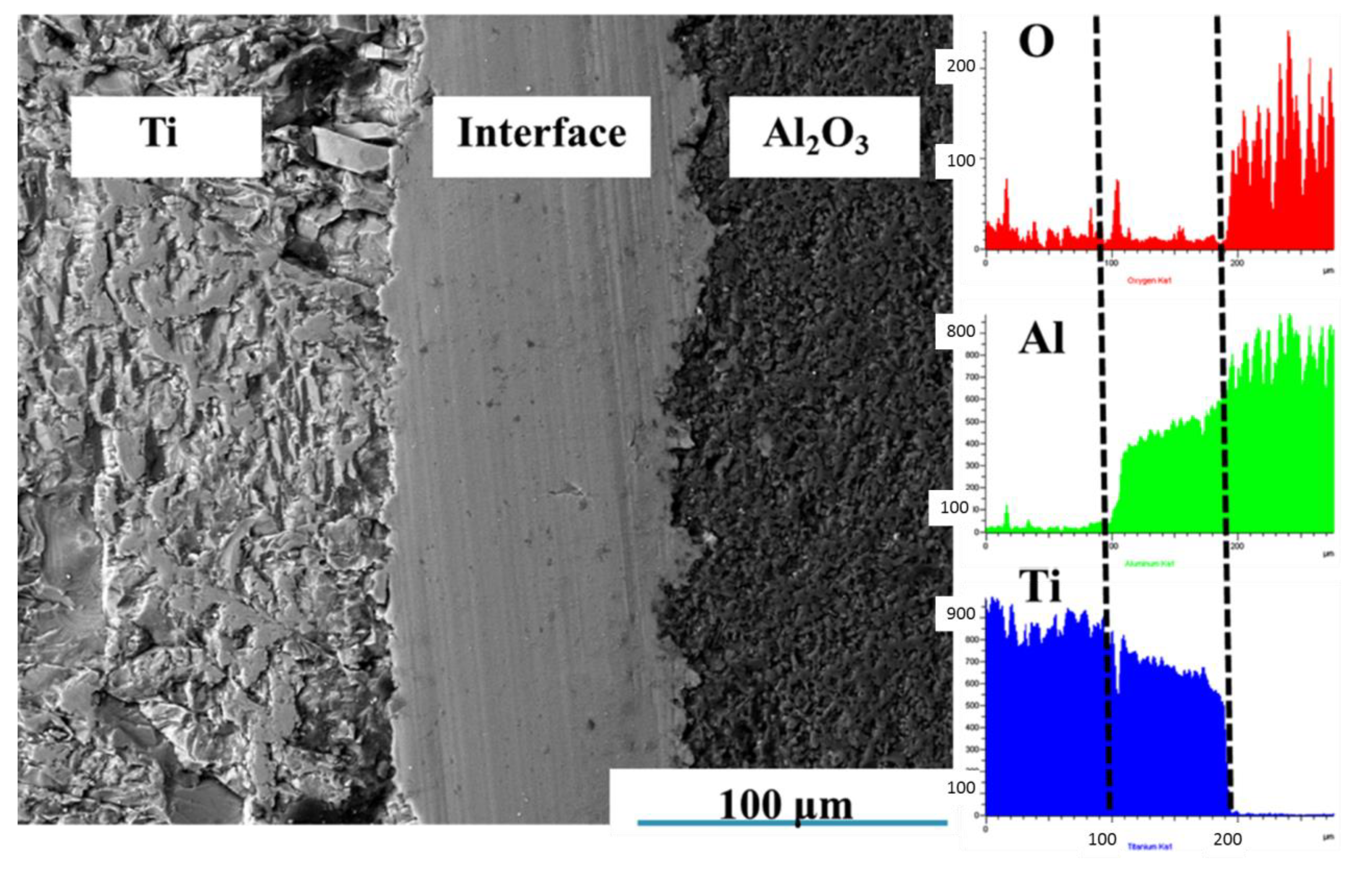 Metals 10 00259 g005