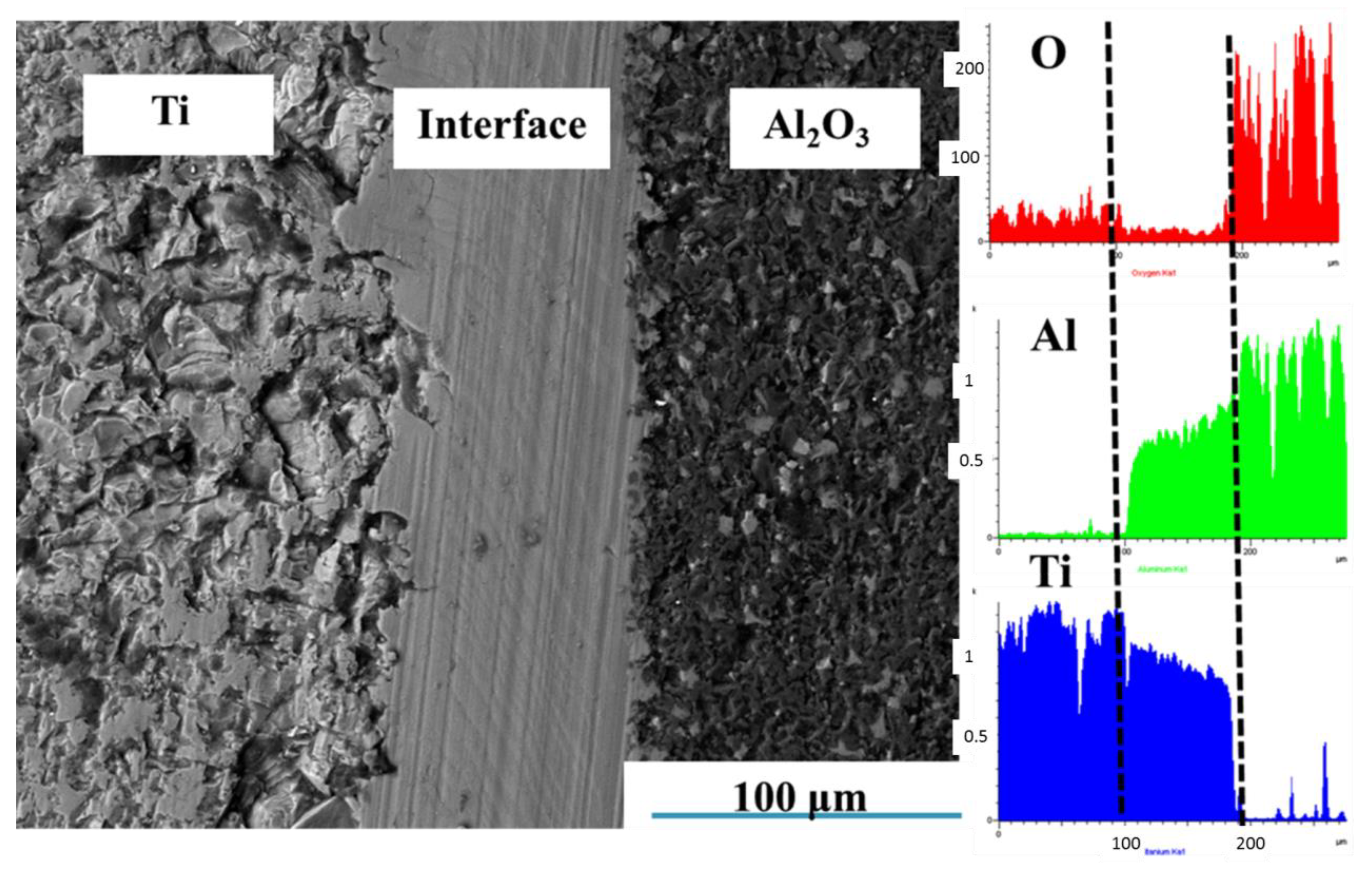 Metals 10 00259 g007