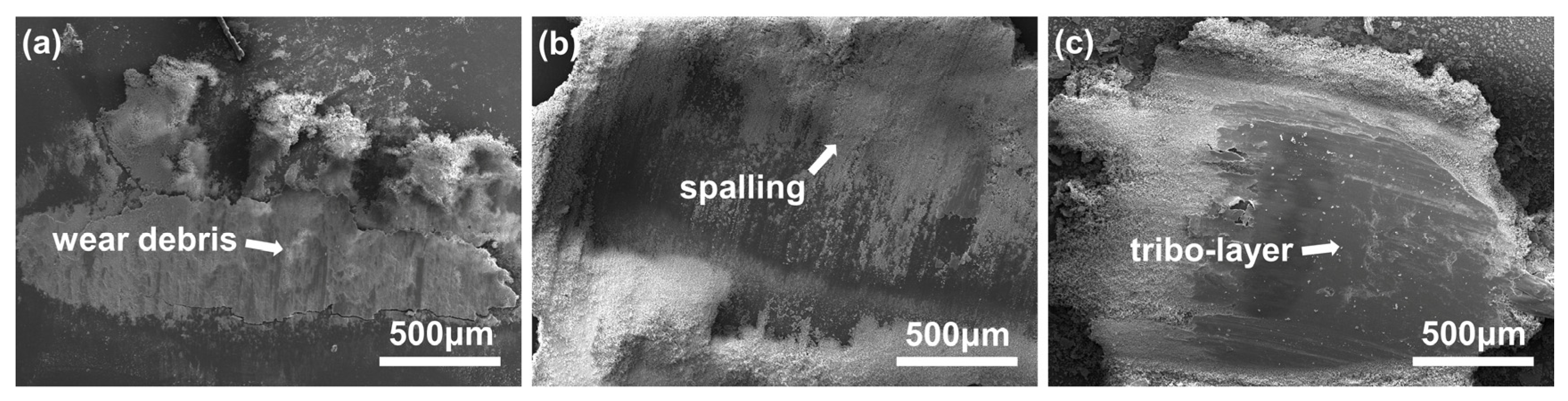 Metals 10 00268 g009 Metals 10 00268 g009