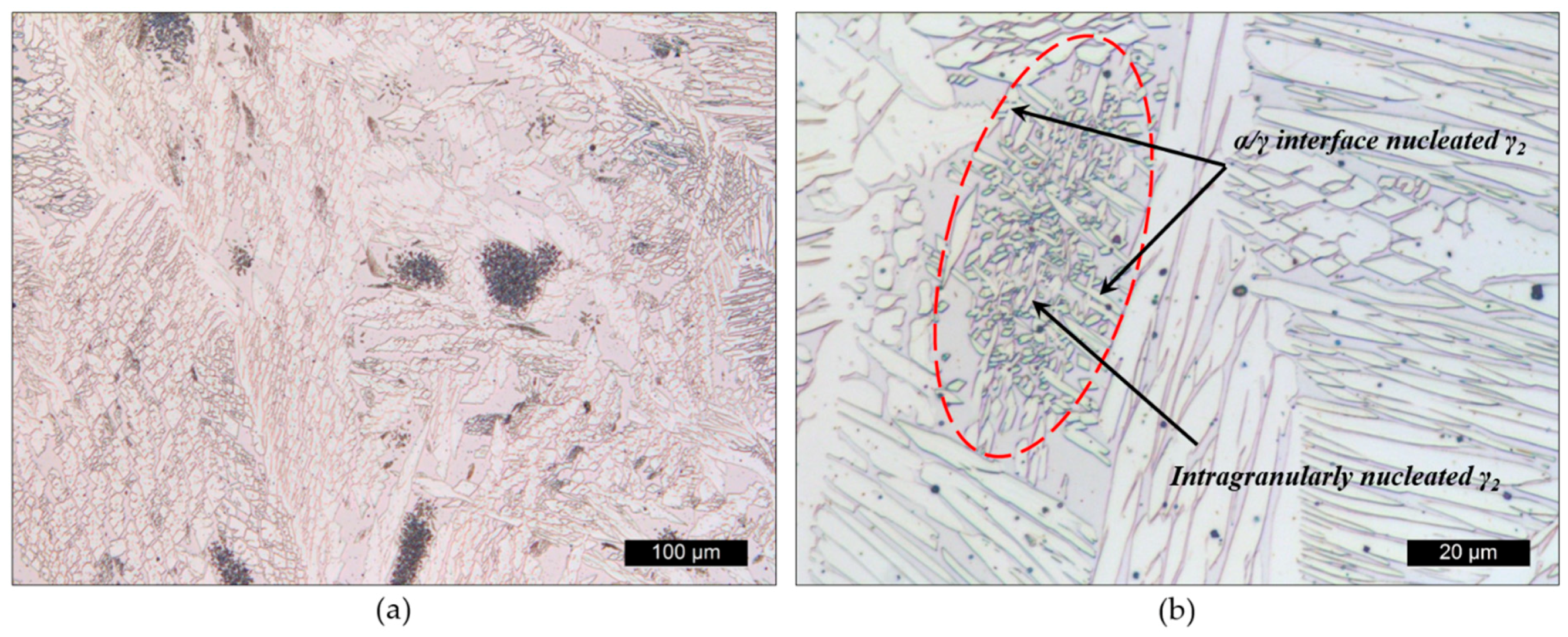 Metals 10 00272 g016 Metals 10 00272 g016