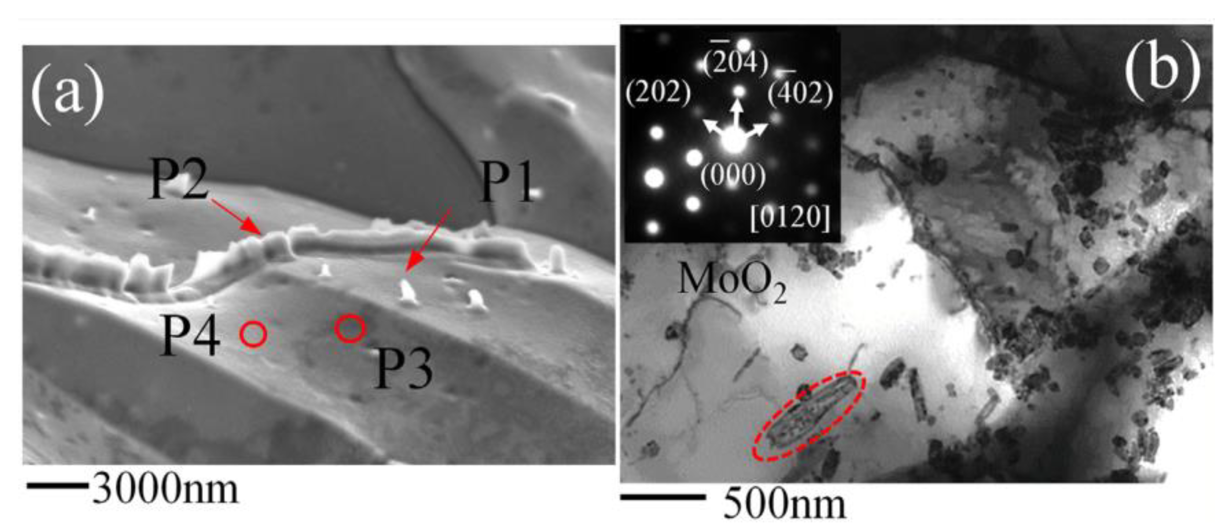 Metals 10 00279 g002