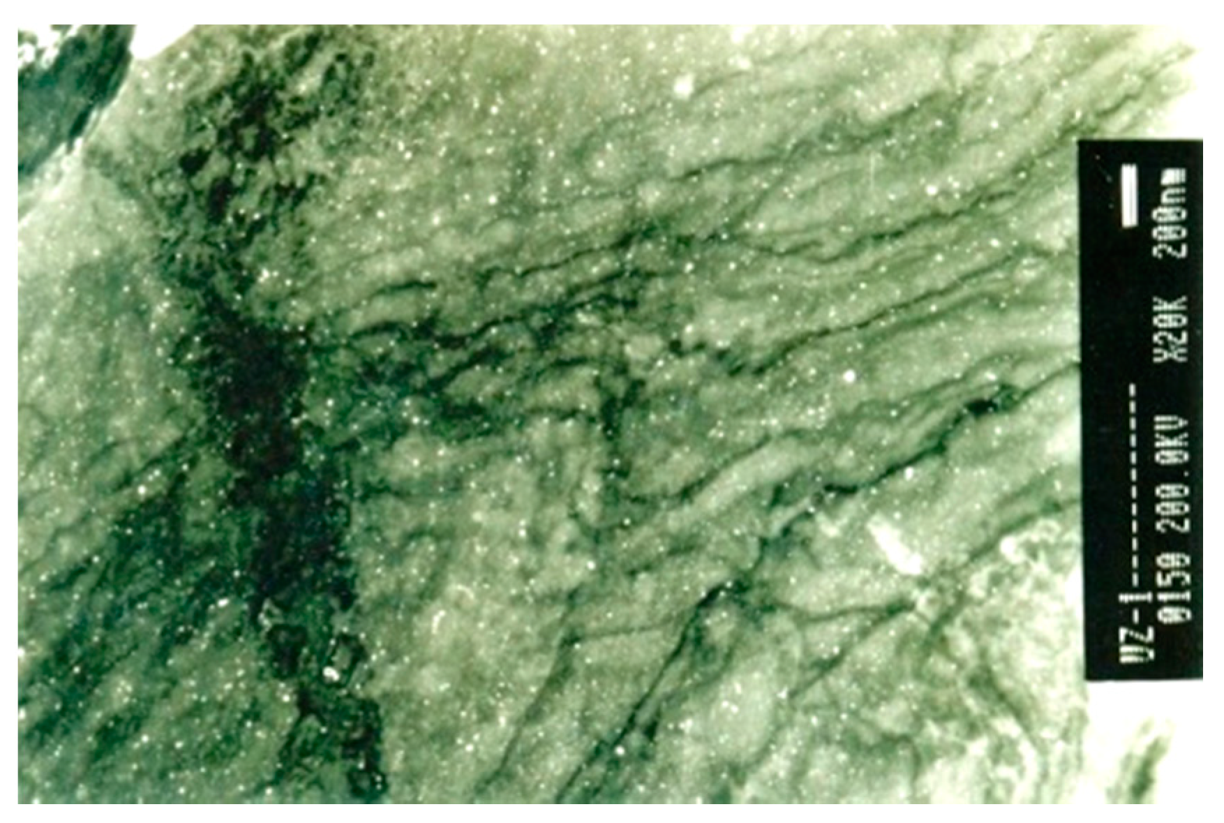 Metals 10 00294 g003