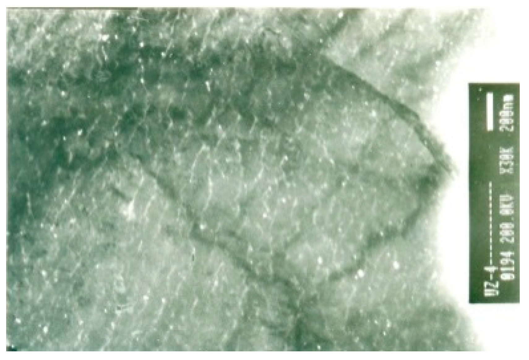 Metals 10 00294 g005