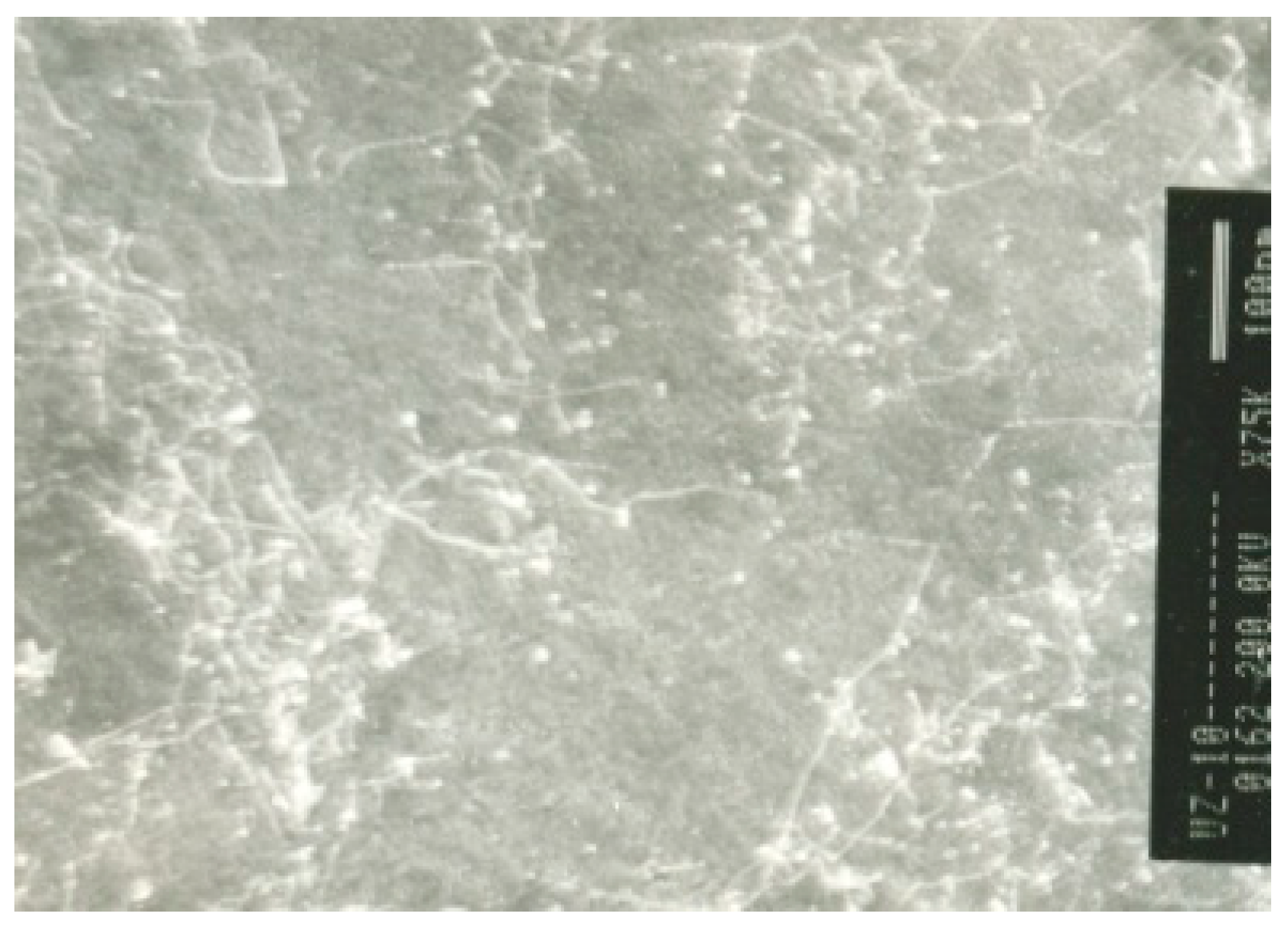 Metals 10 00294 g008