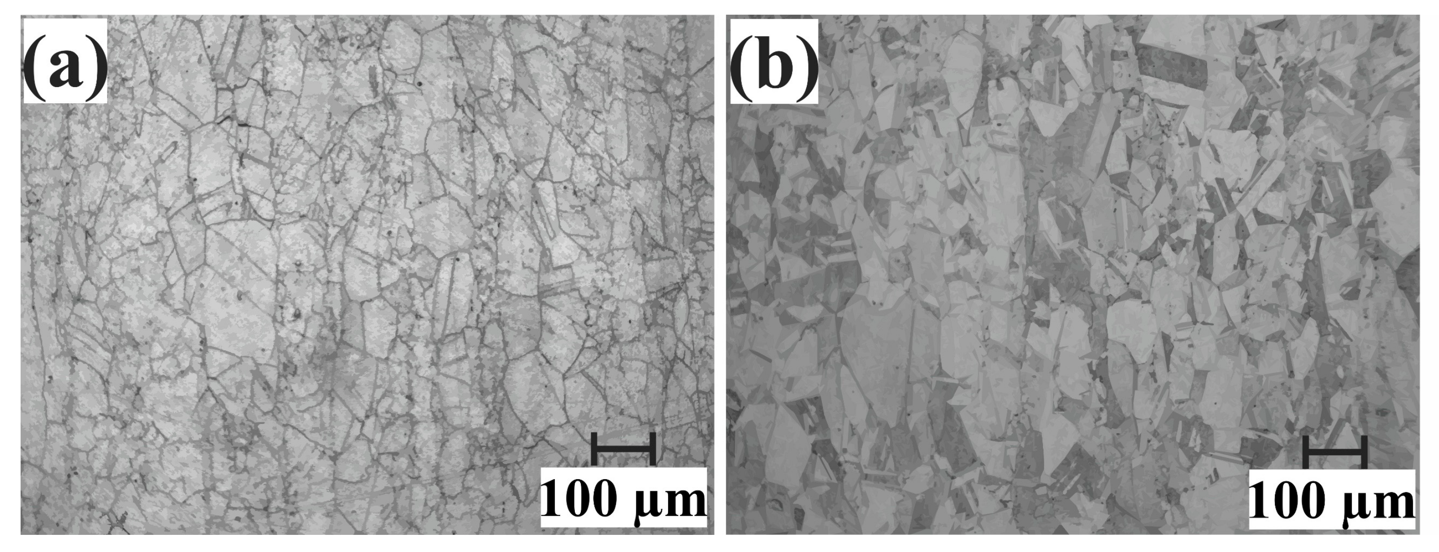 Metals 10 00306 g002