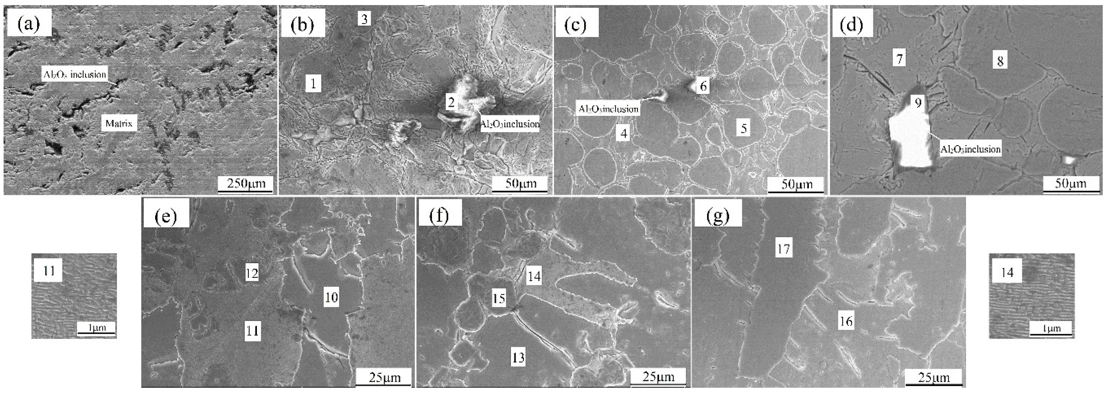 Metals 10 00309 g004