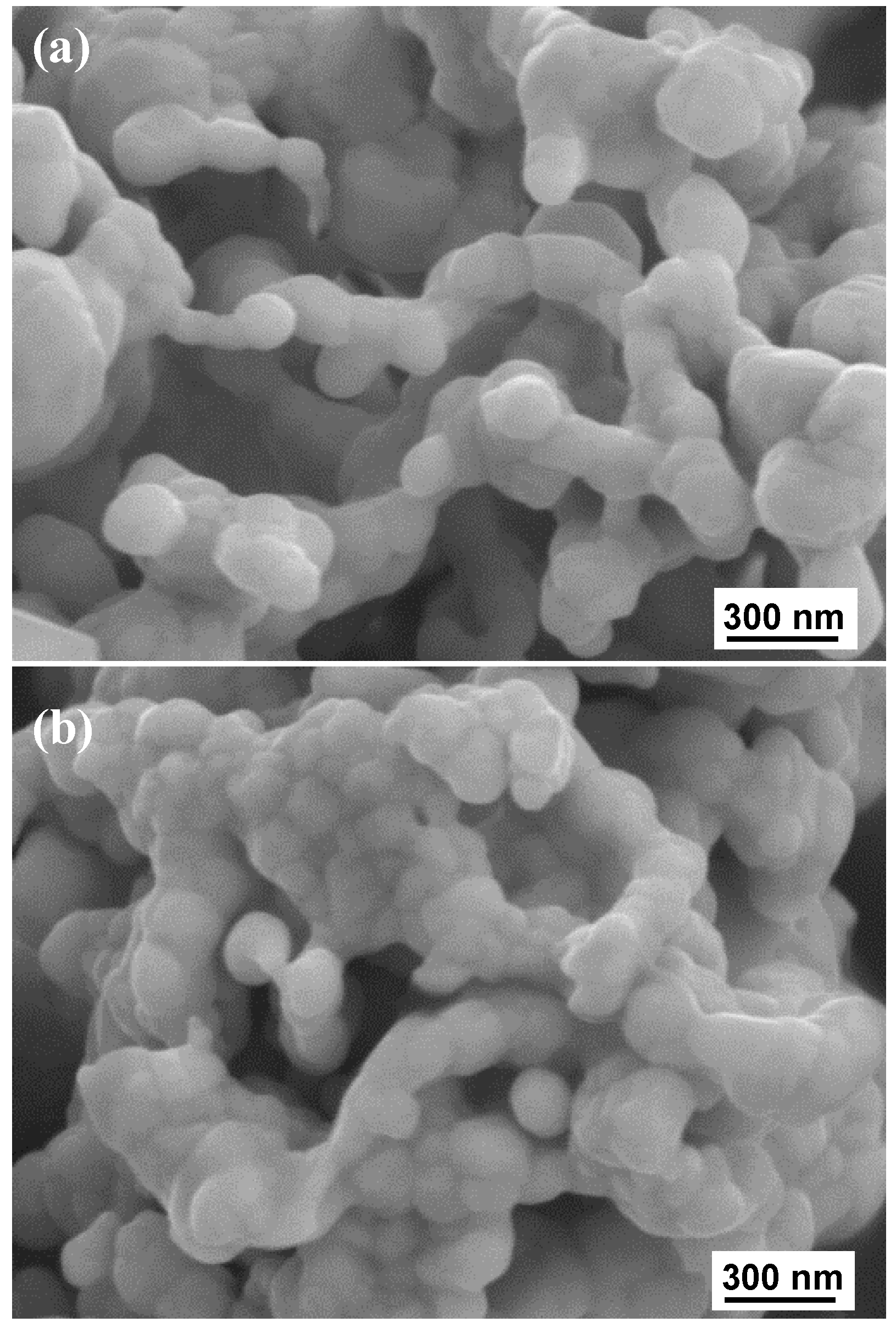 Metals 10 00315 g004