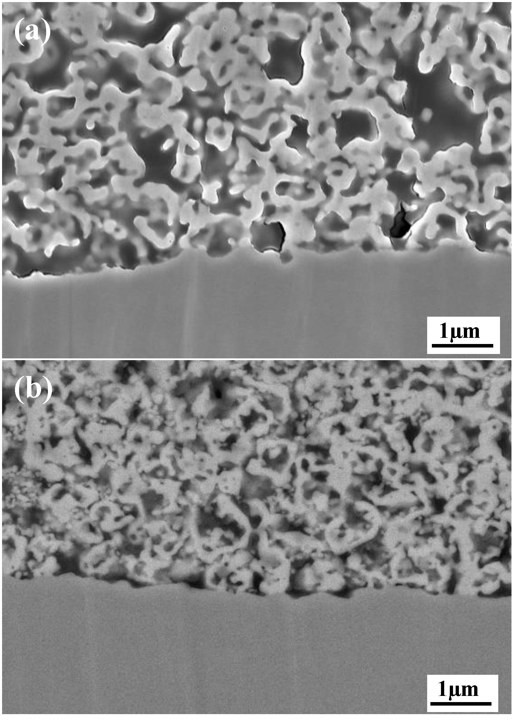 Metals 10 00315 g007