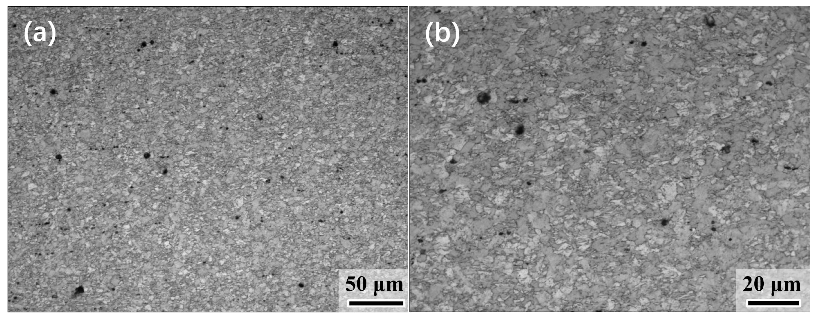 Metals 10 00332 g005