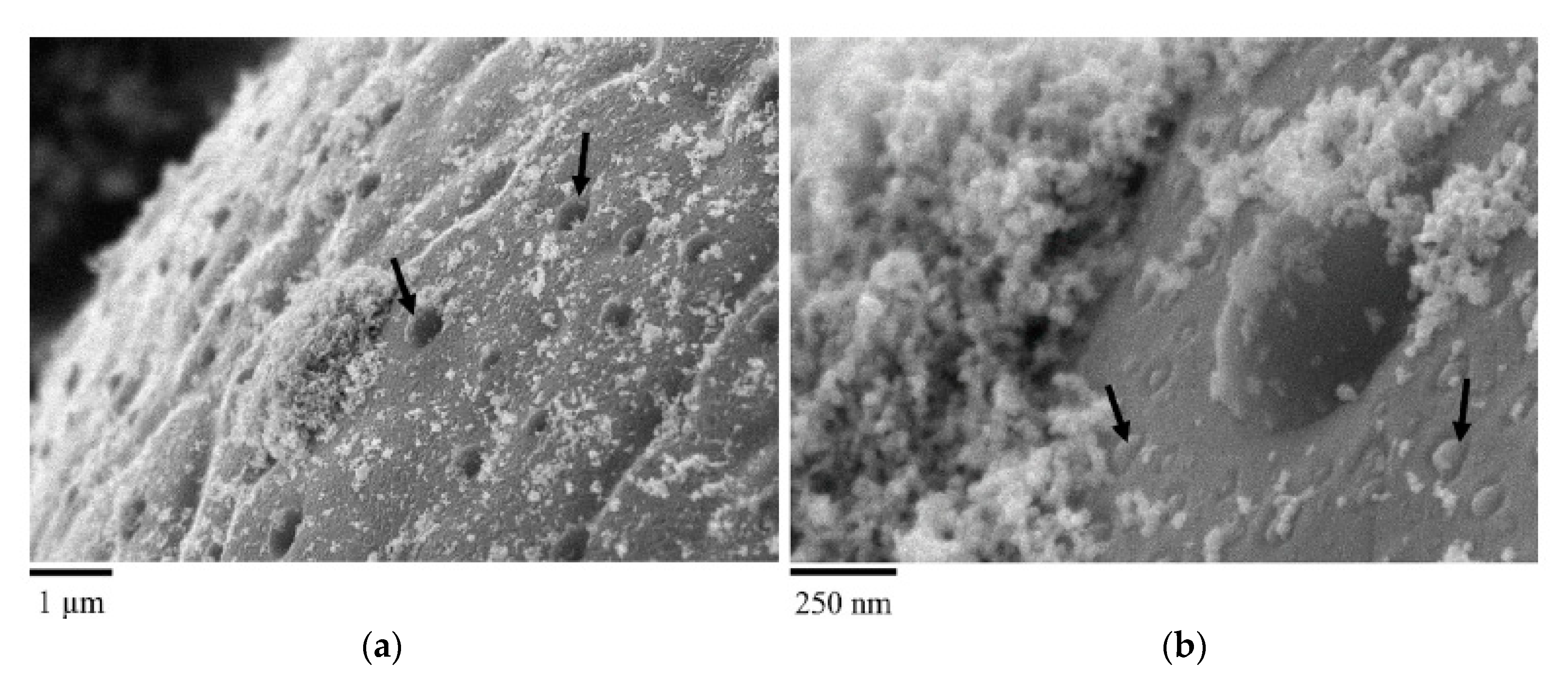 Metals 10 00341 g008 Metals 10 00341 g008