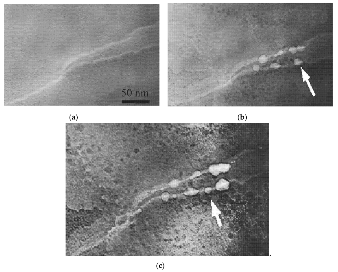 Metals 10 00358 g013