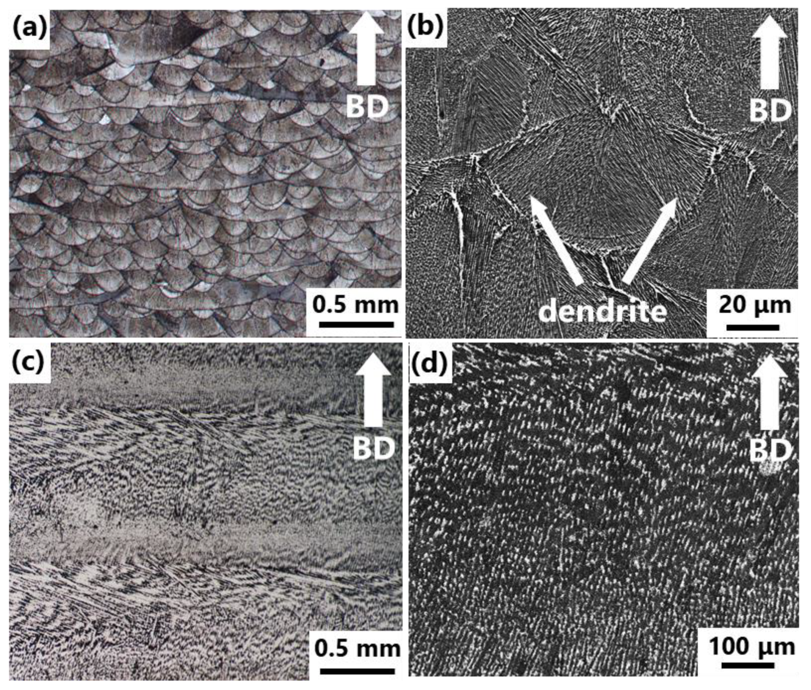 Metals 10 00362 g001