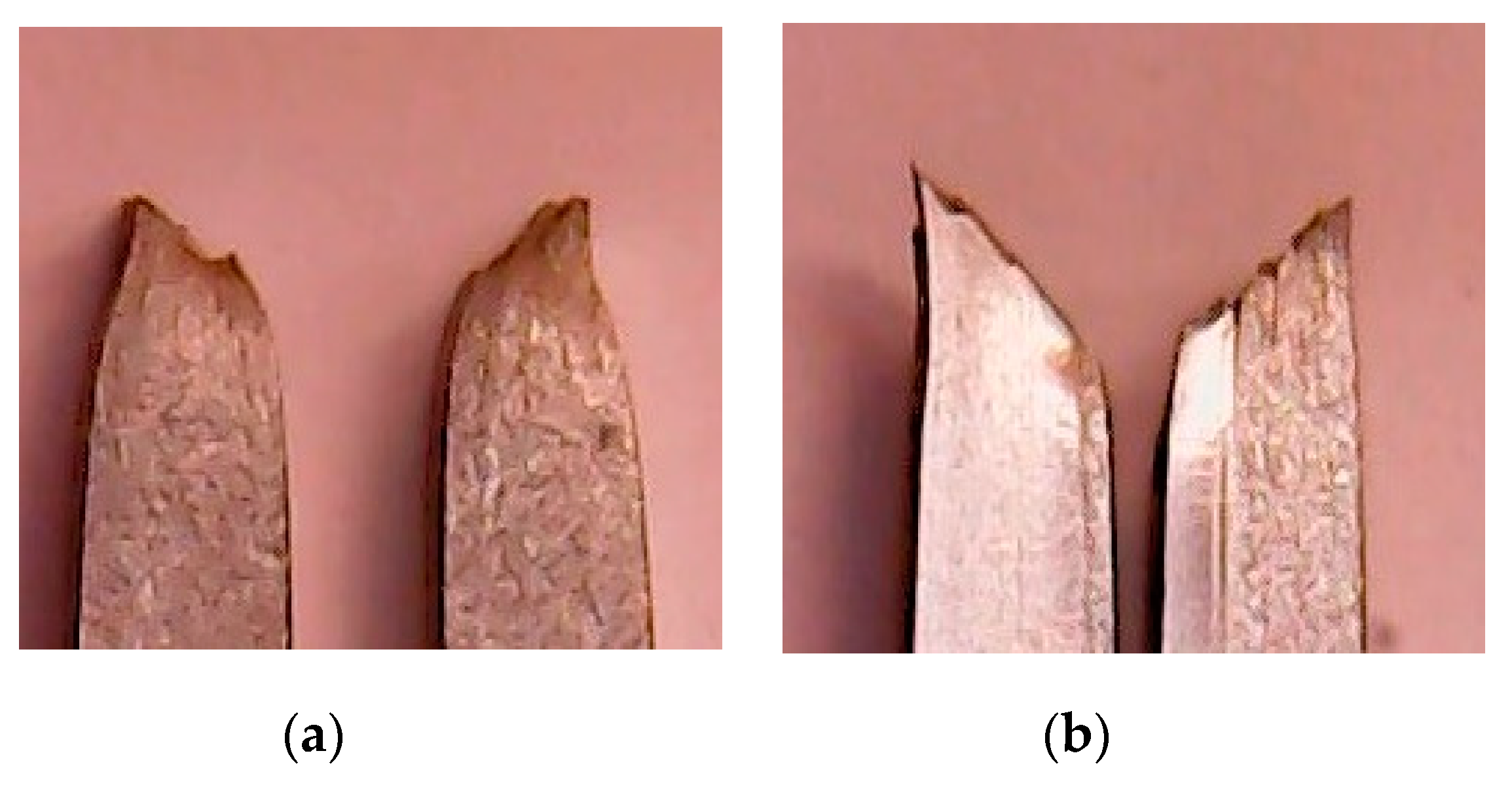 Metals 10 00369 g012 Metals 10 00369 g012