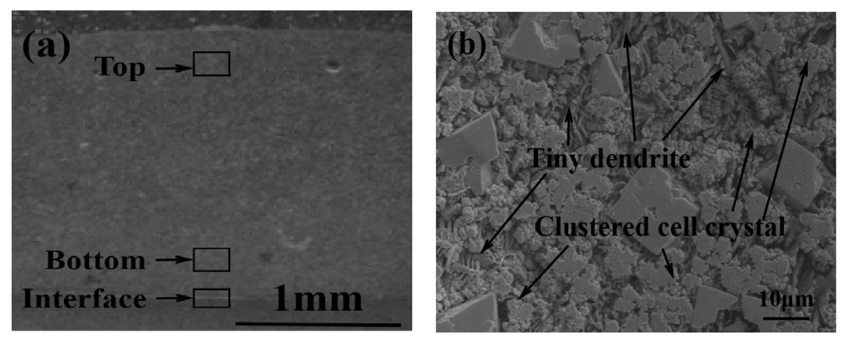 Metals 10 00383 g006a