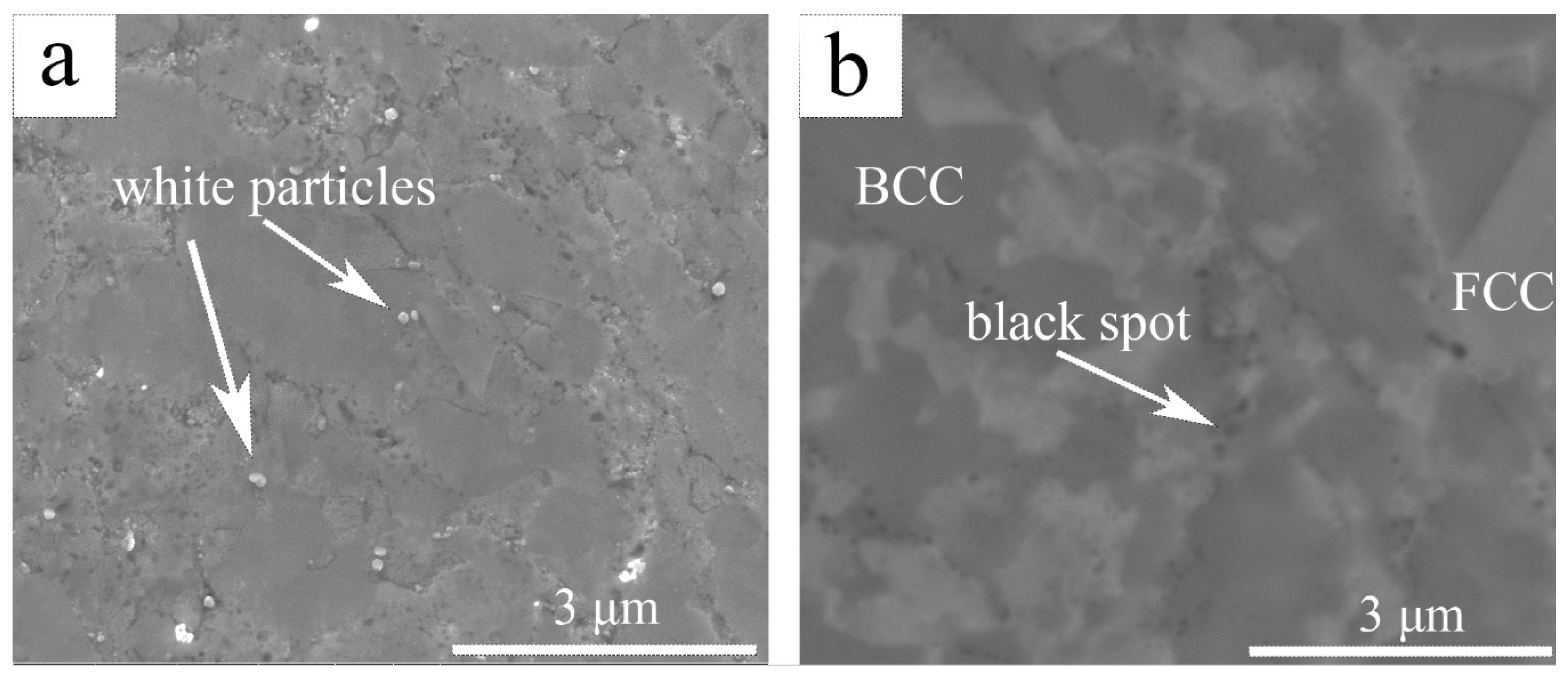 Metals 10 00387 g002