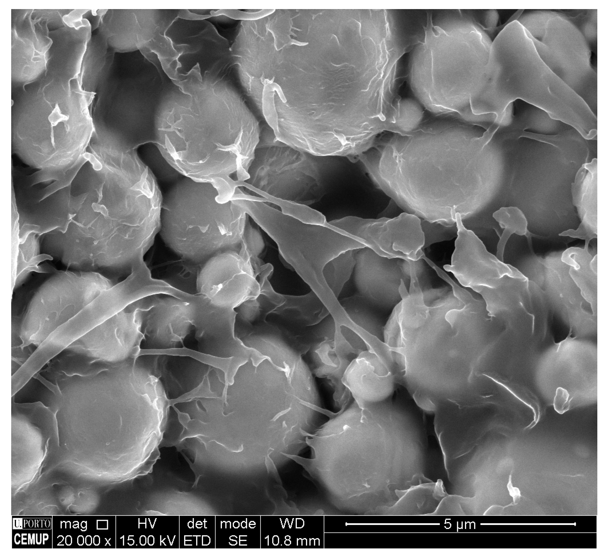 Metals 10 00388 g003 Metals 10 00388 g003