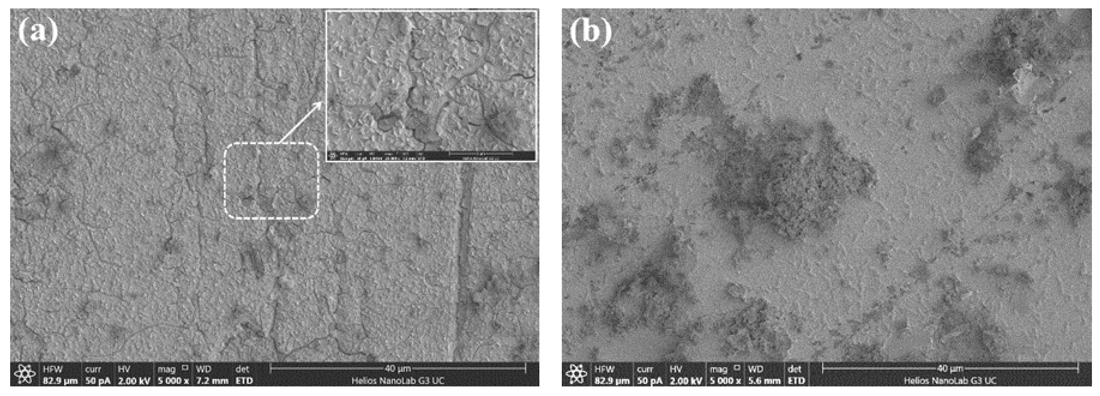 Metals 10 00403 g004