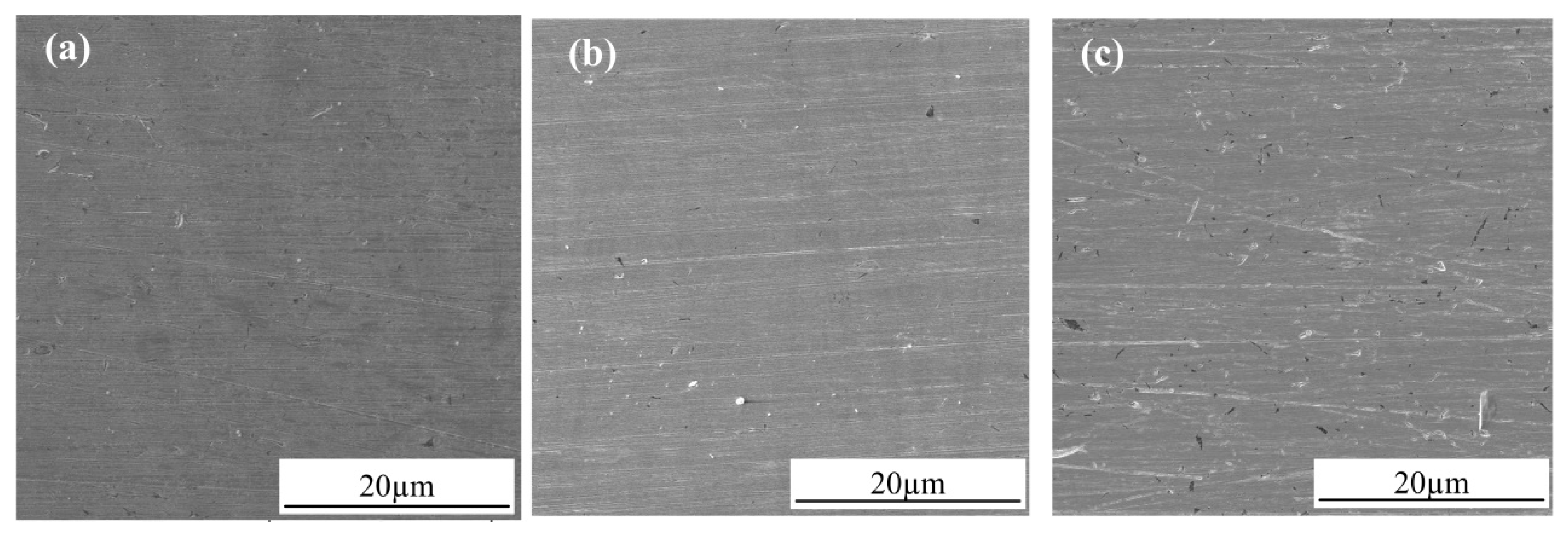 Metals 10 00409 g002