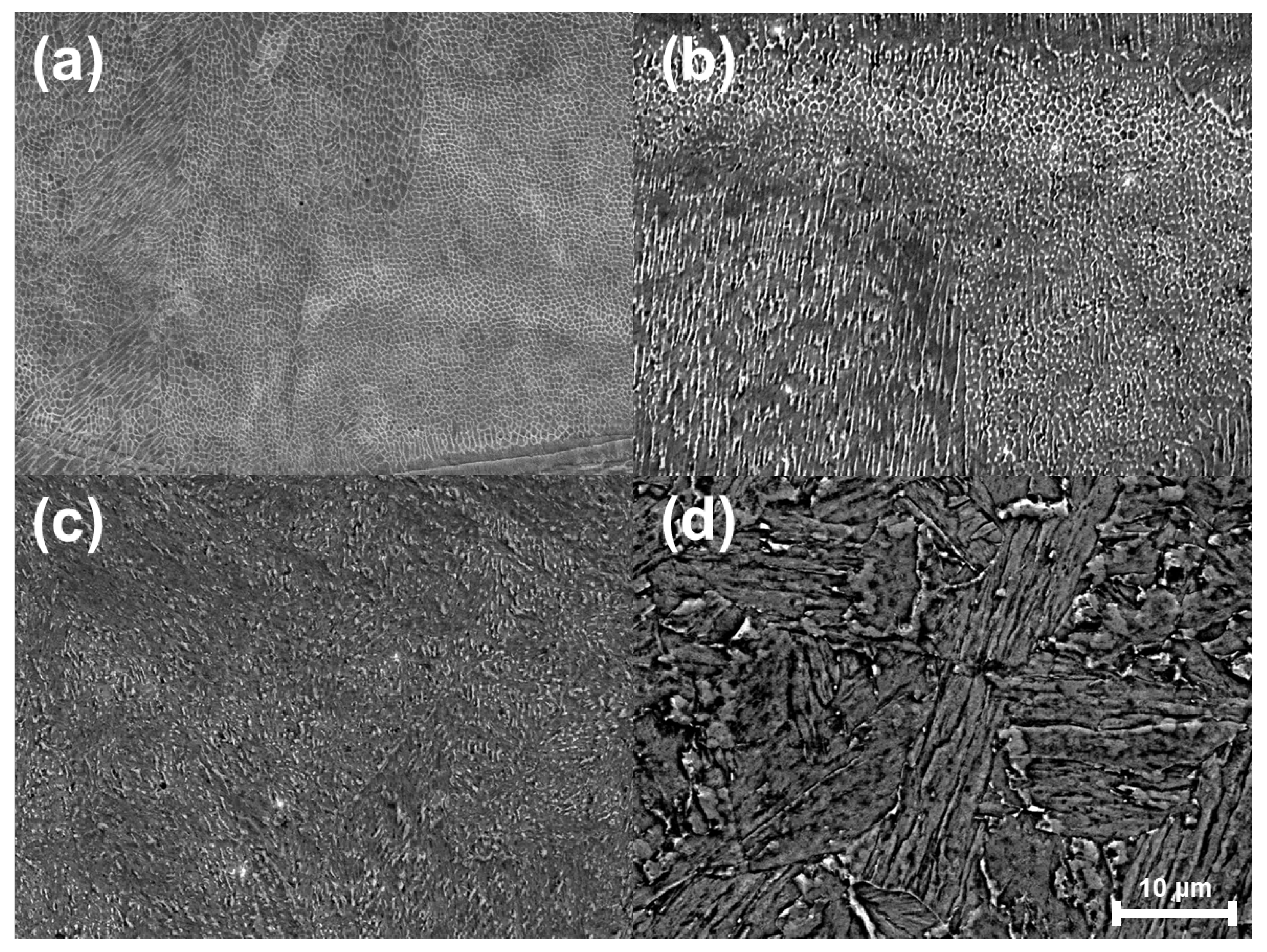 Metals 10 00410 g006