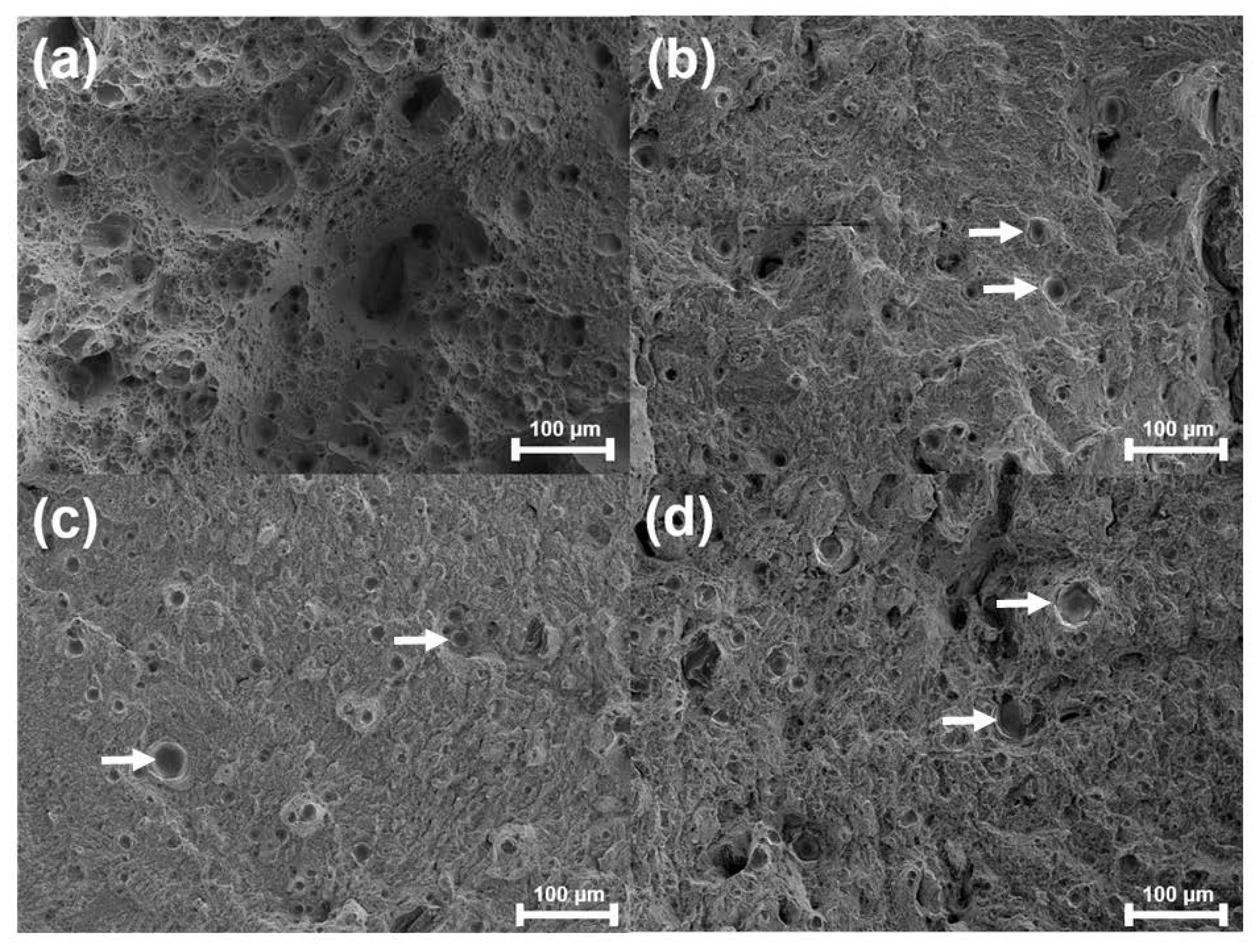 Metals 10 00410 g012