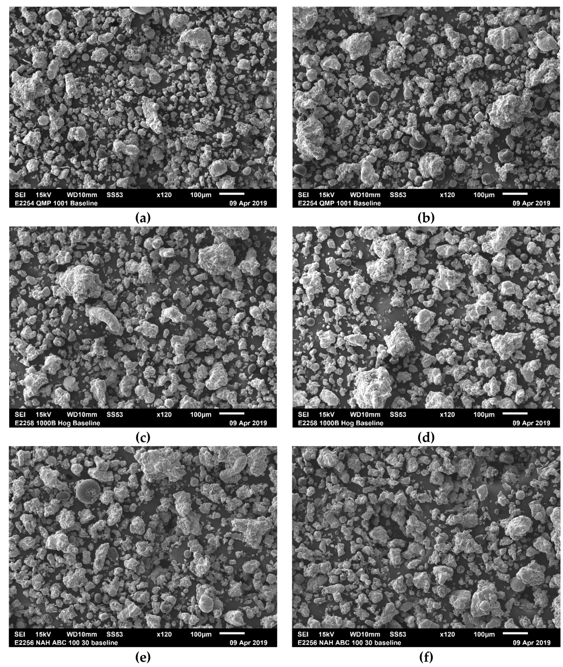 SEM images of as received iron powders, (a) and (b) are images for