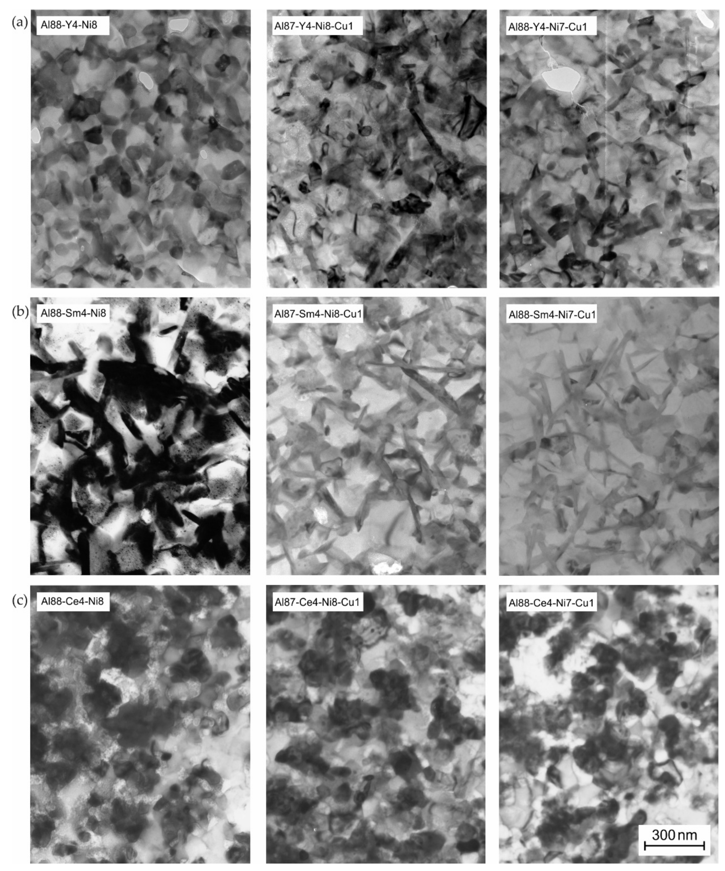 Metals 10 00443 g010 Metals 10 00443 g010