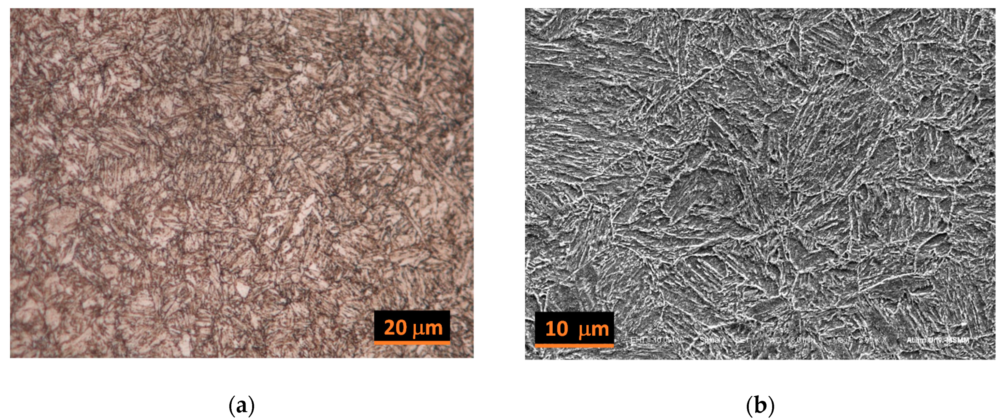 Metals 10 00446 g001