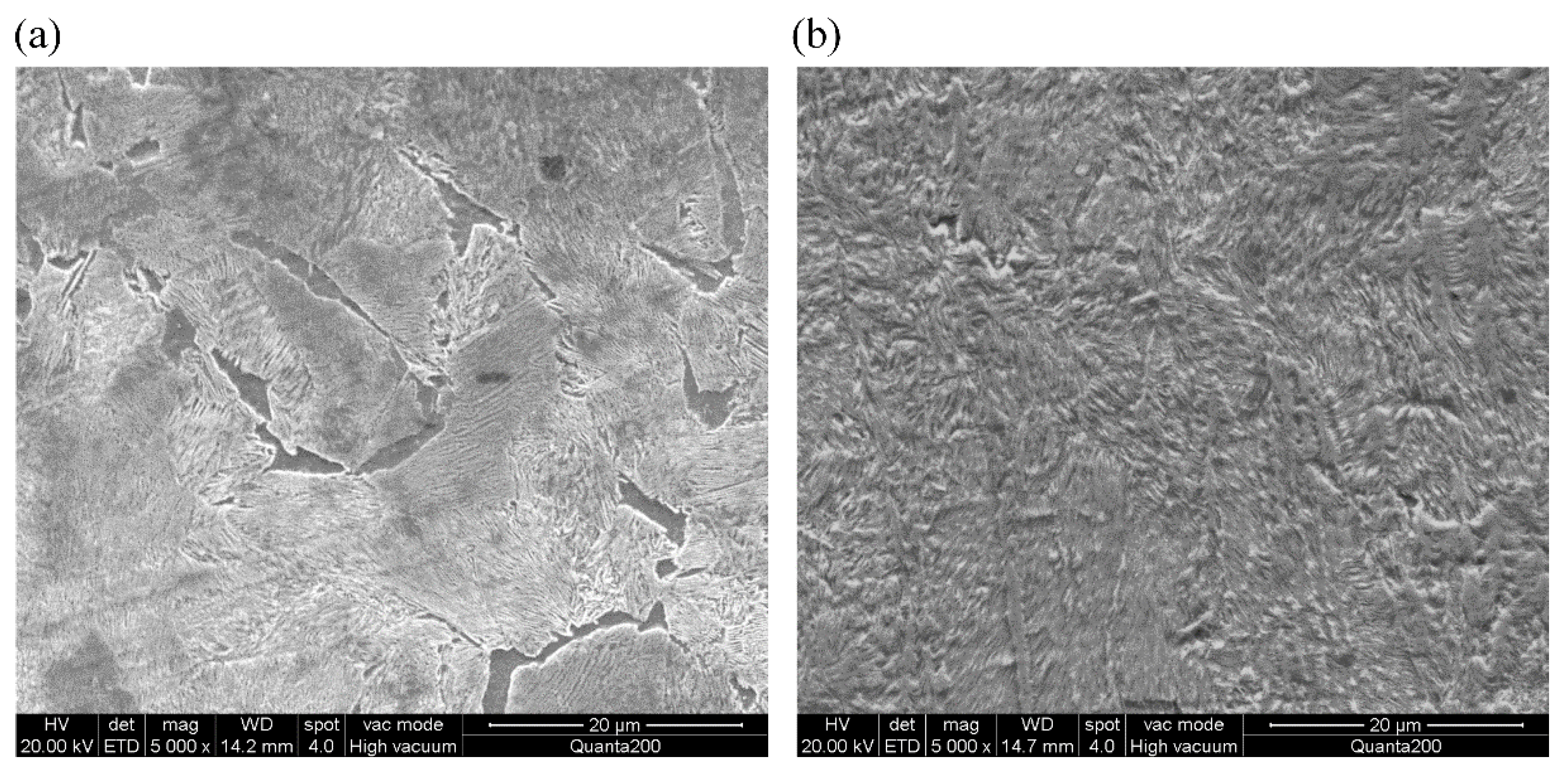 Metals 10 00472 g002 Metals 10 00472 g002