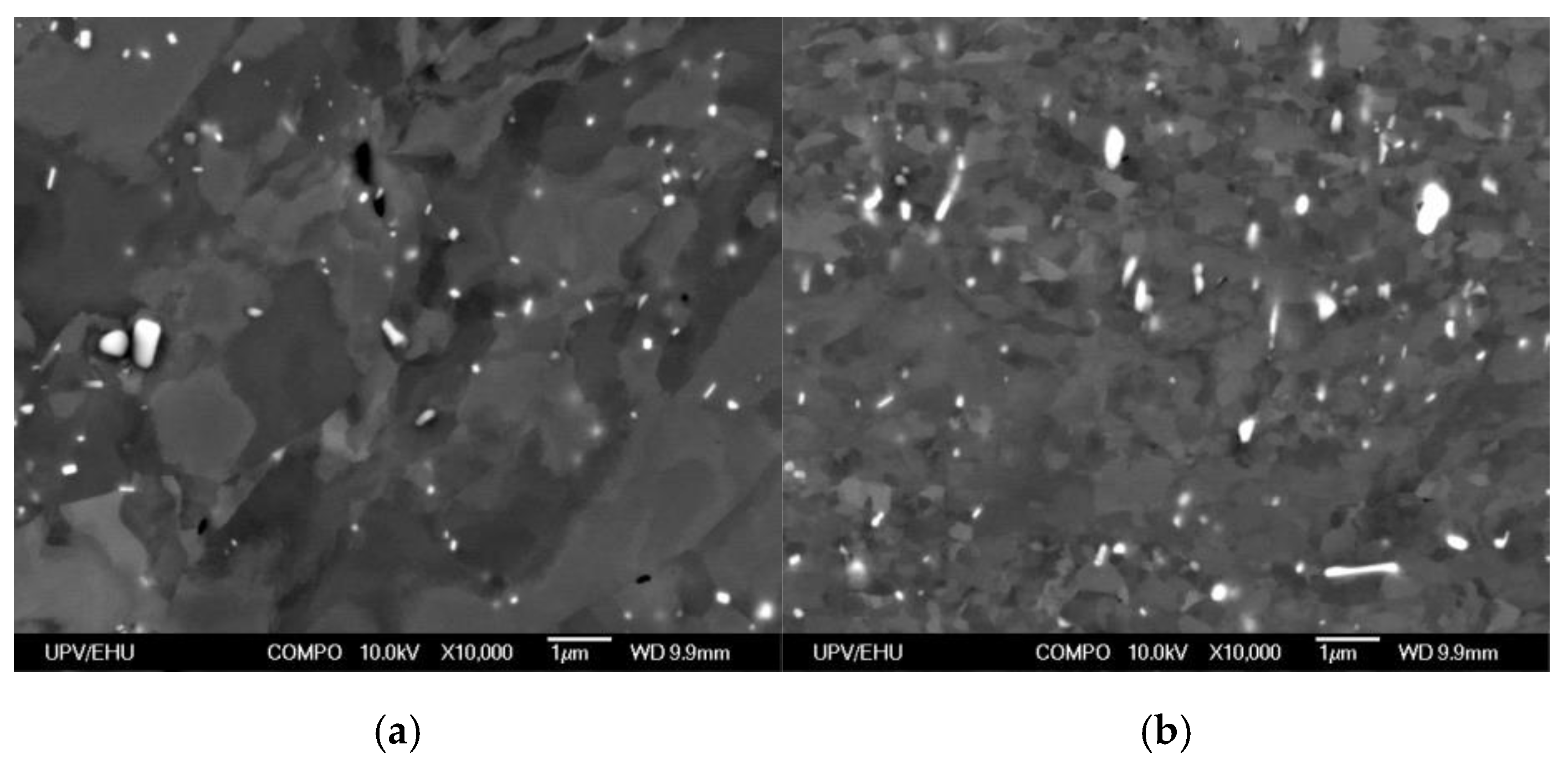 Metals 10 00479 g001