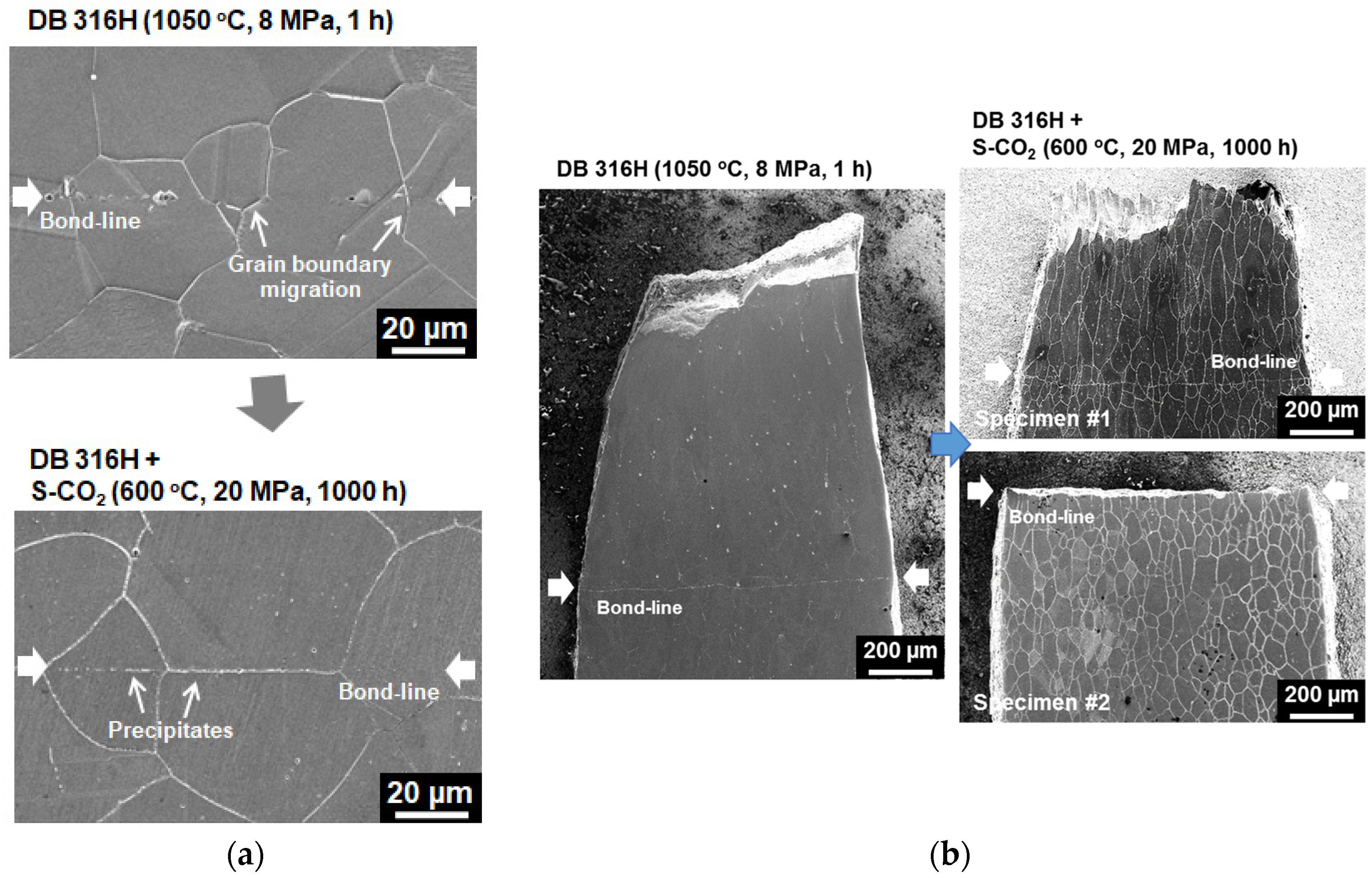 Metals 10 00480 g010 Metals 10 00480 g010