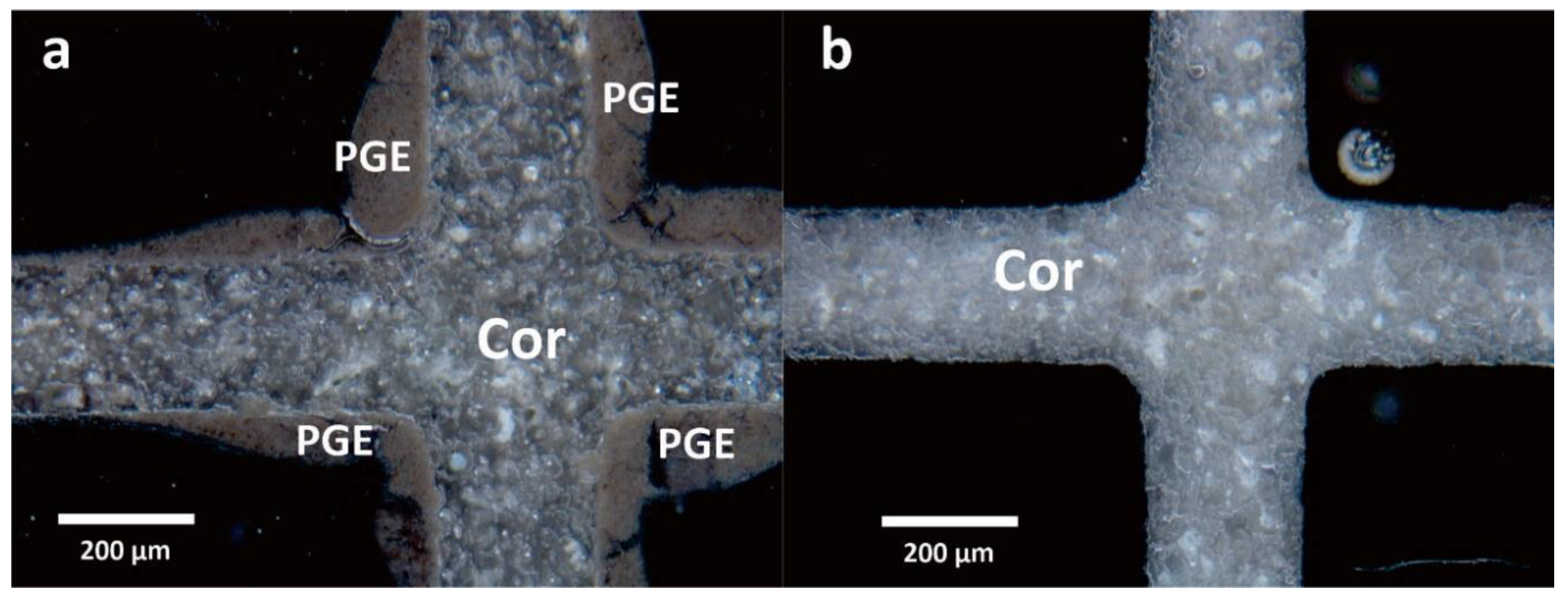 Metals 10 00485 g003