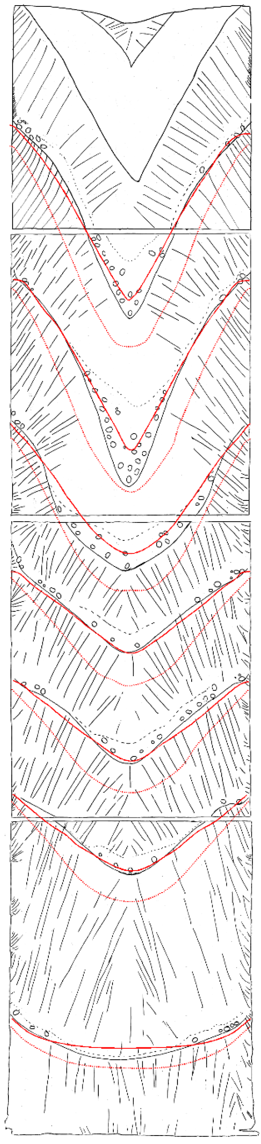 Metals 10 00490 g002