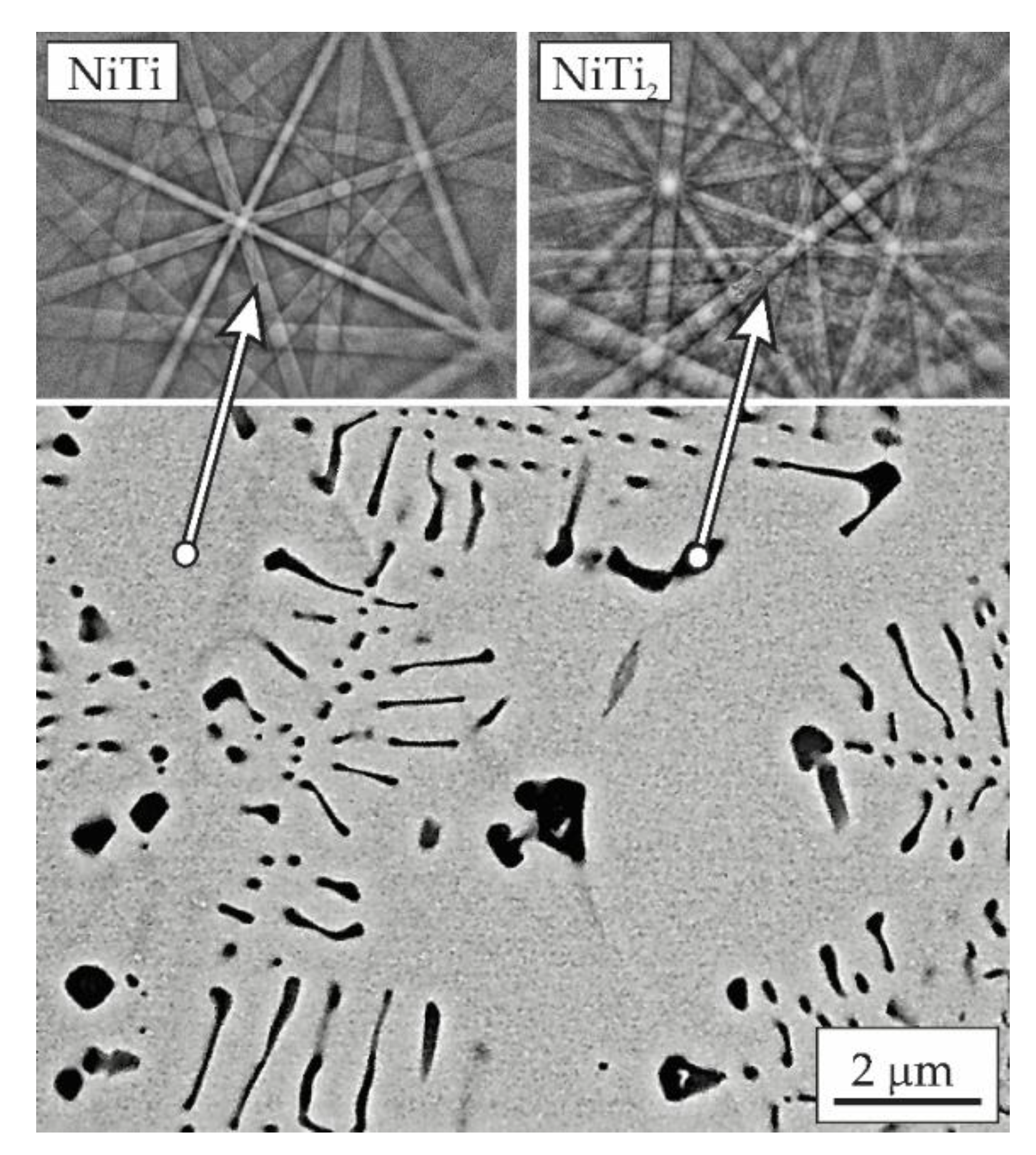 Metals 10 00505 g007