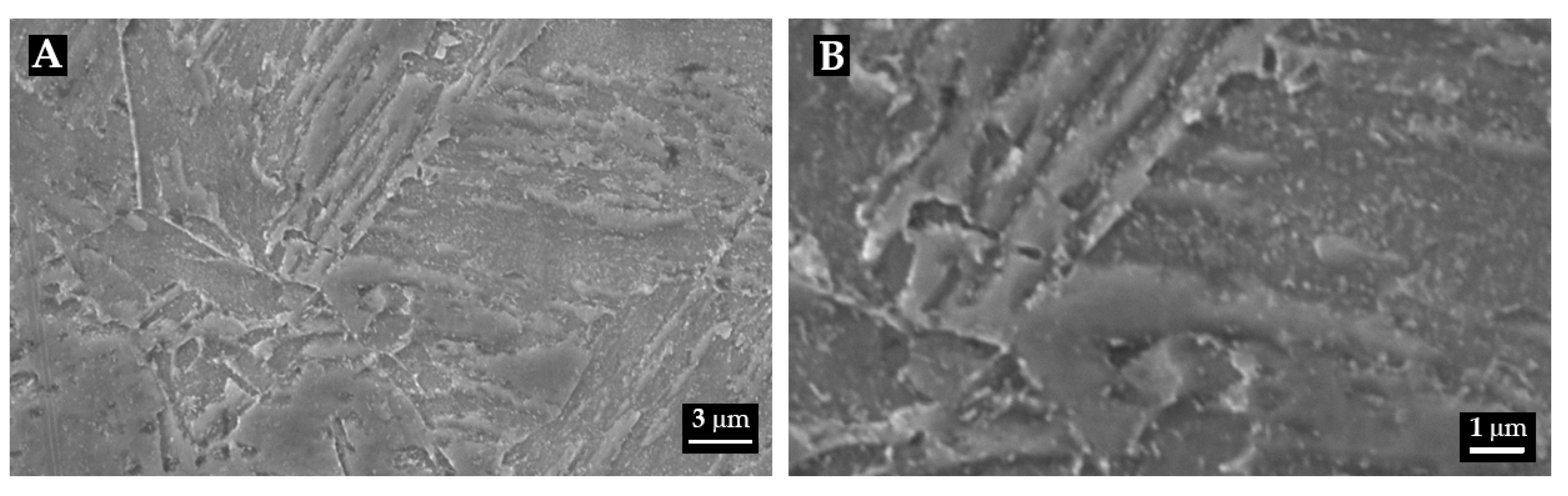 Metals 10 00507 g005