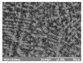 Metals 10 00522 i001 Metals 10 00522 i001