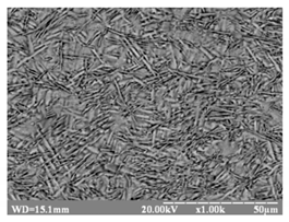 Metals 10 00522 i002 Metals 10 00522 i002