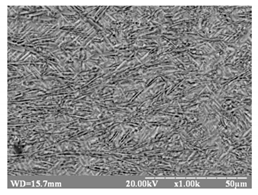 Metals 10 00522 i004 Metals 10 00522 i004