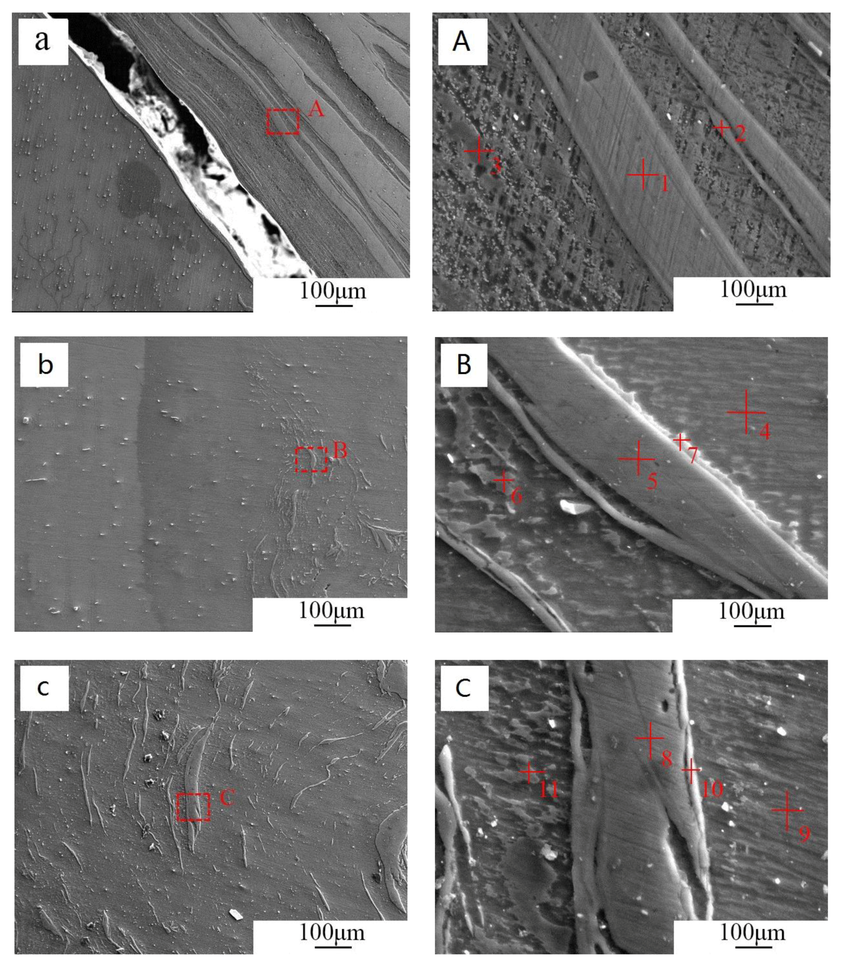 Metals 10 00546 g005