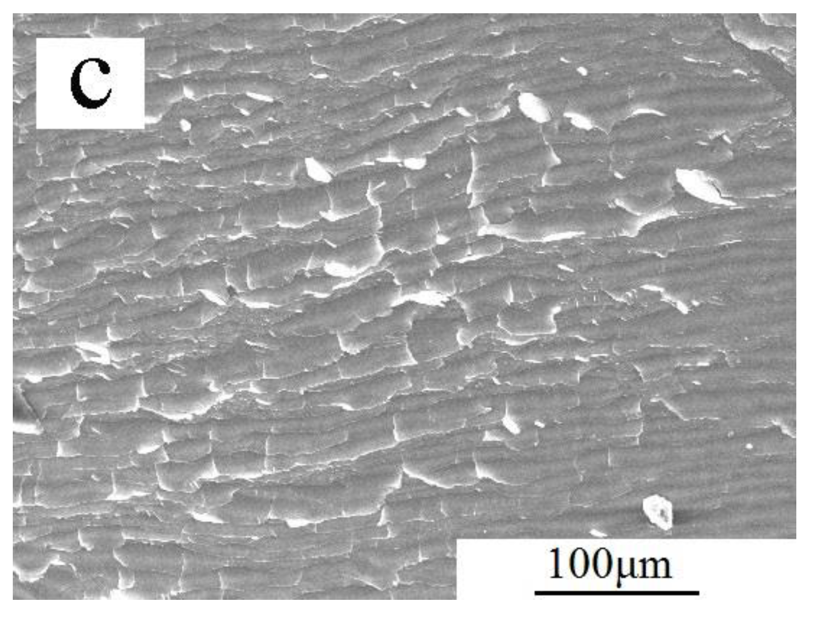 Metals 10 00546 g009b