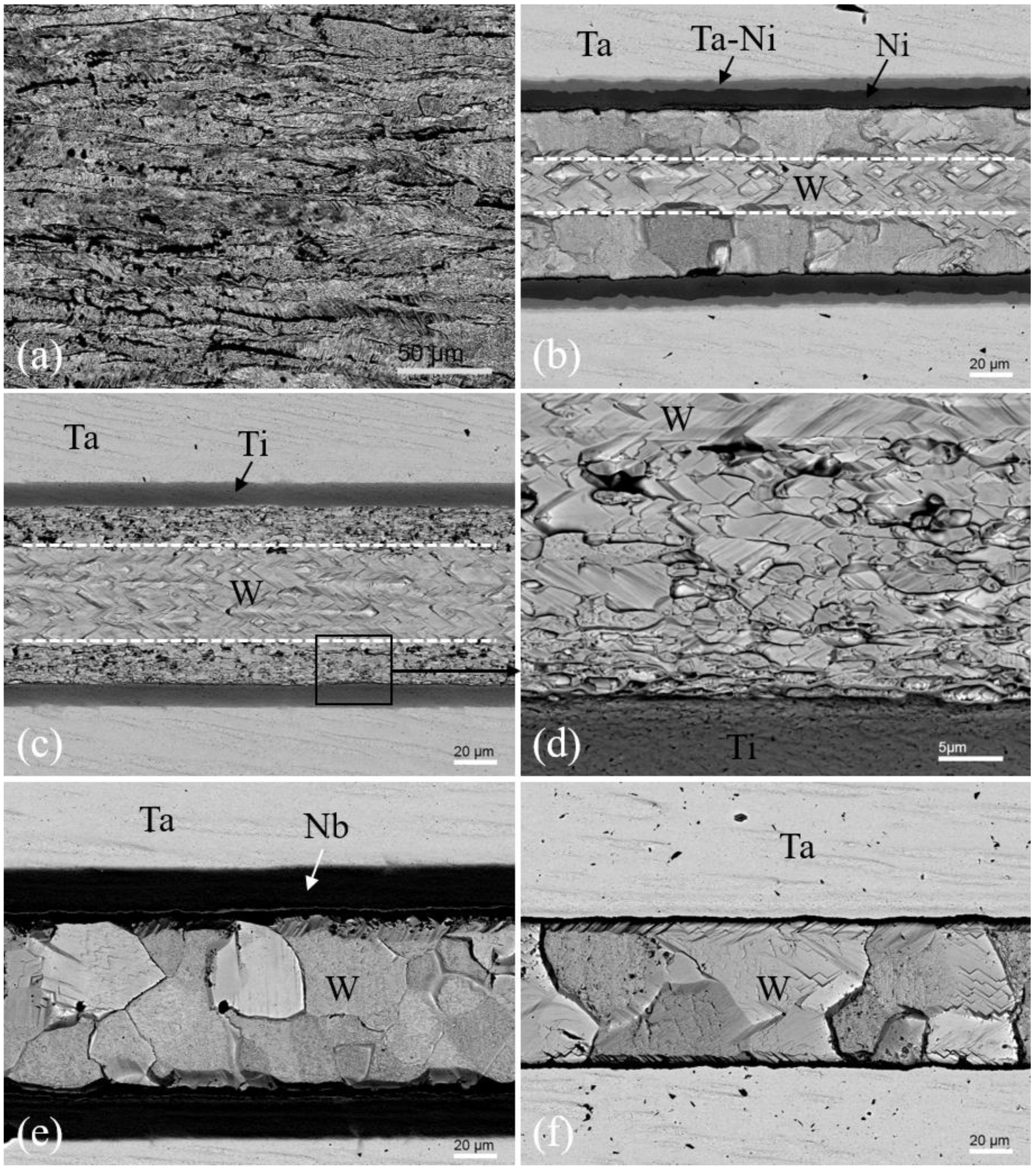 Metals 10 00558 g010