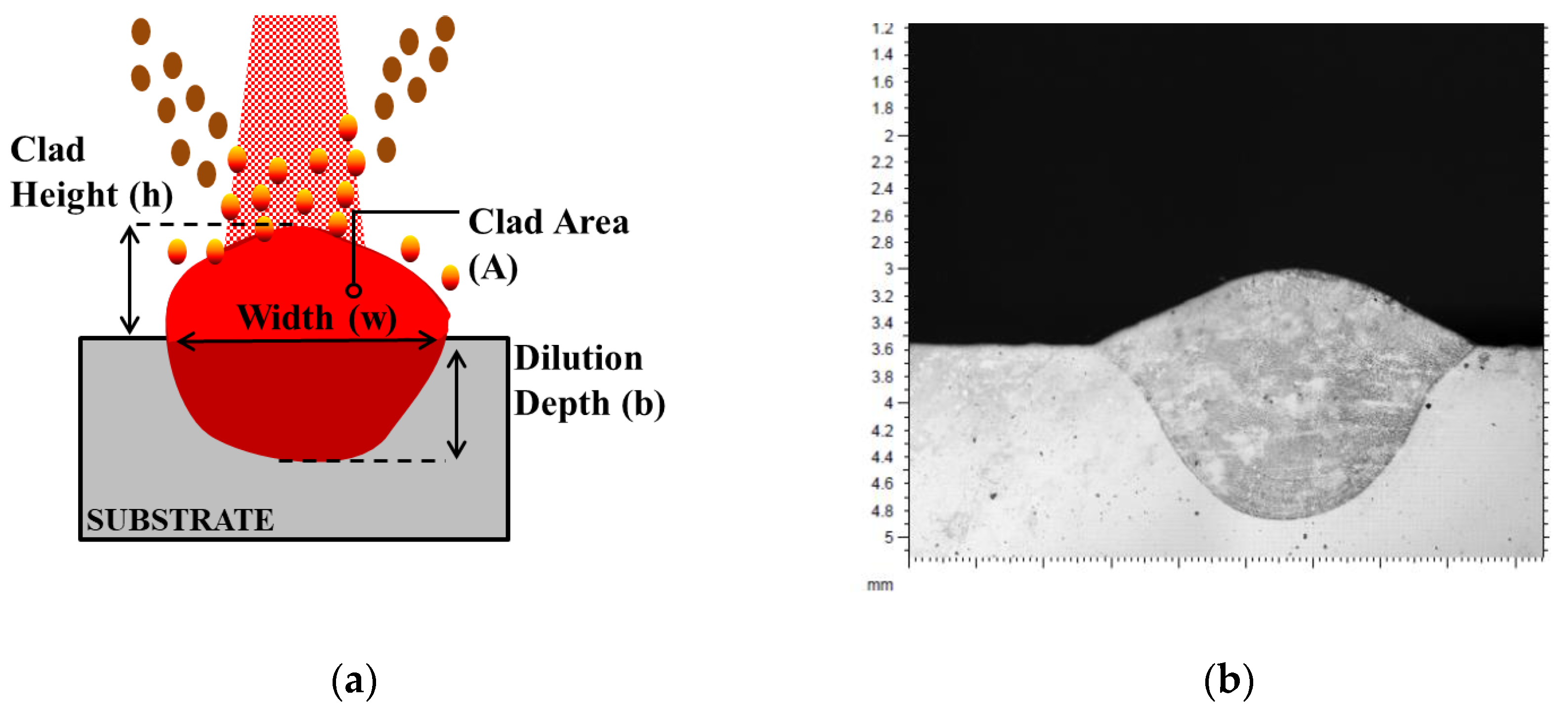 Metals 10 00560 g002